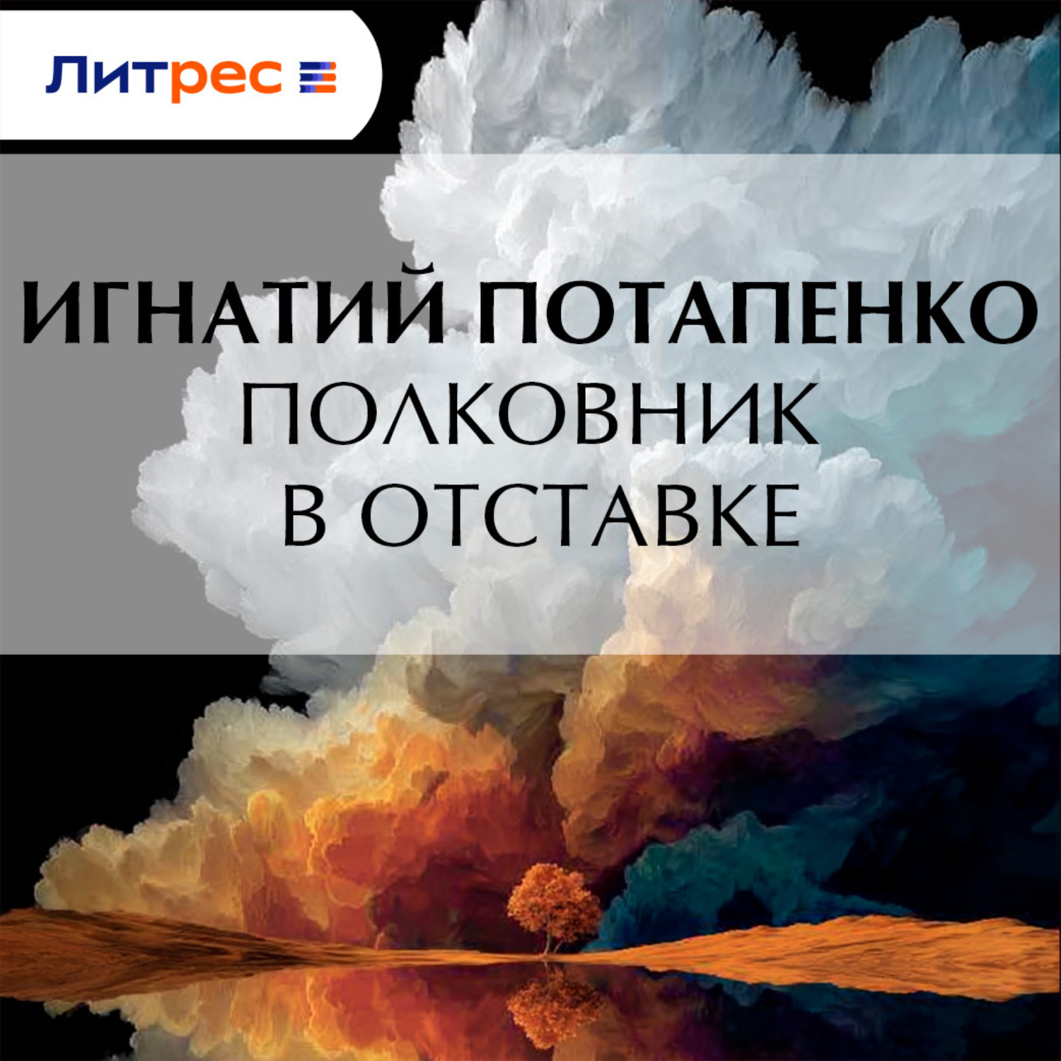 Обложка книги «Полковник в отставке»