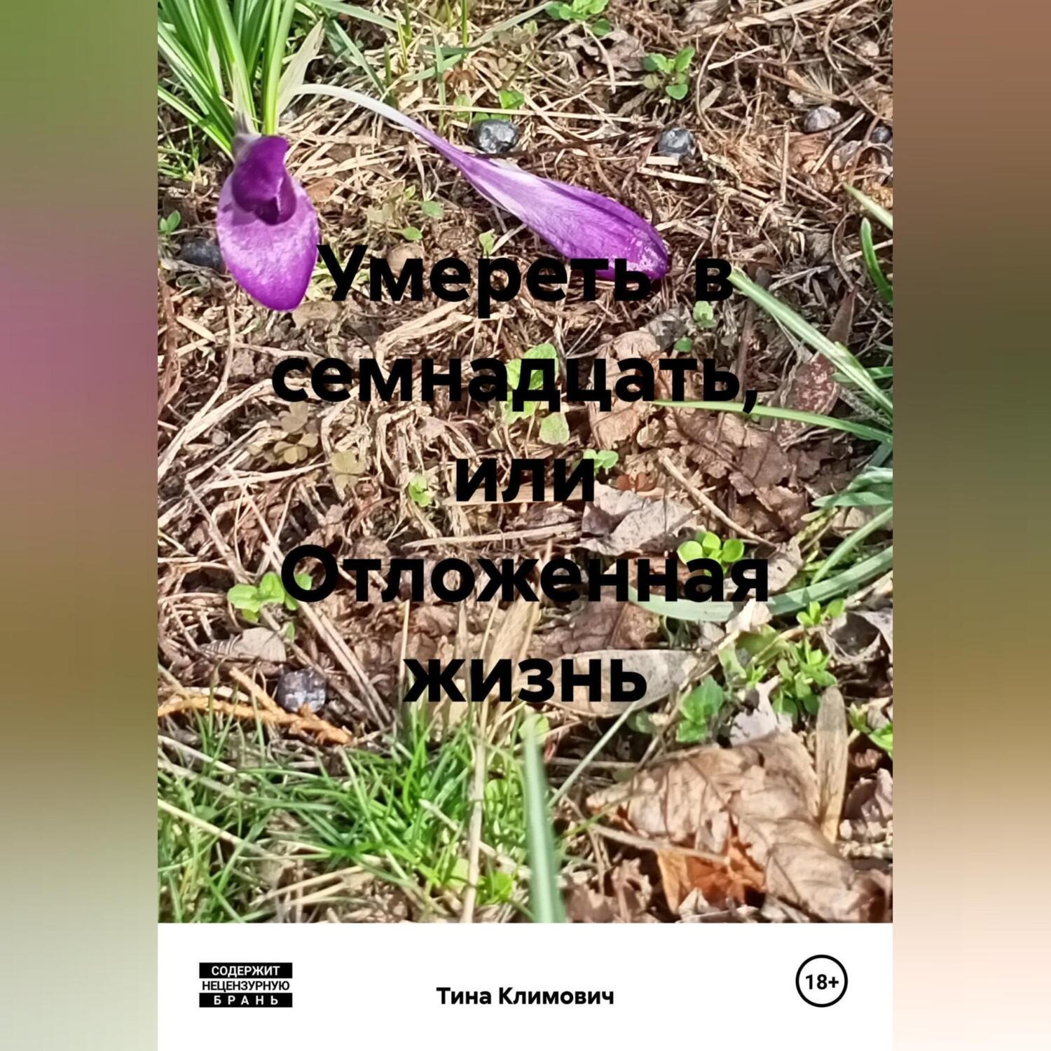 Обложка книги «Умереть в семнадцать, или Отложенная жизнь»