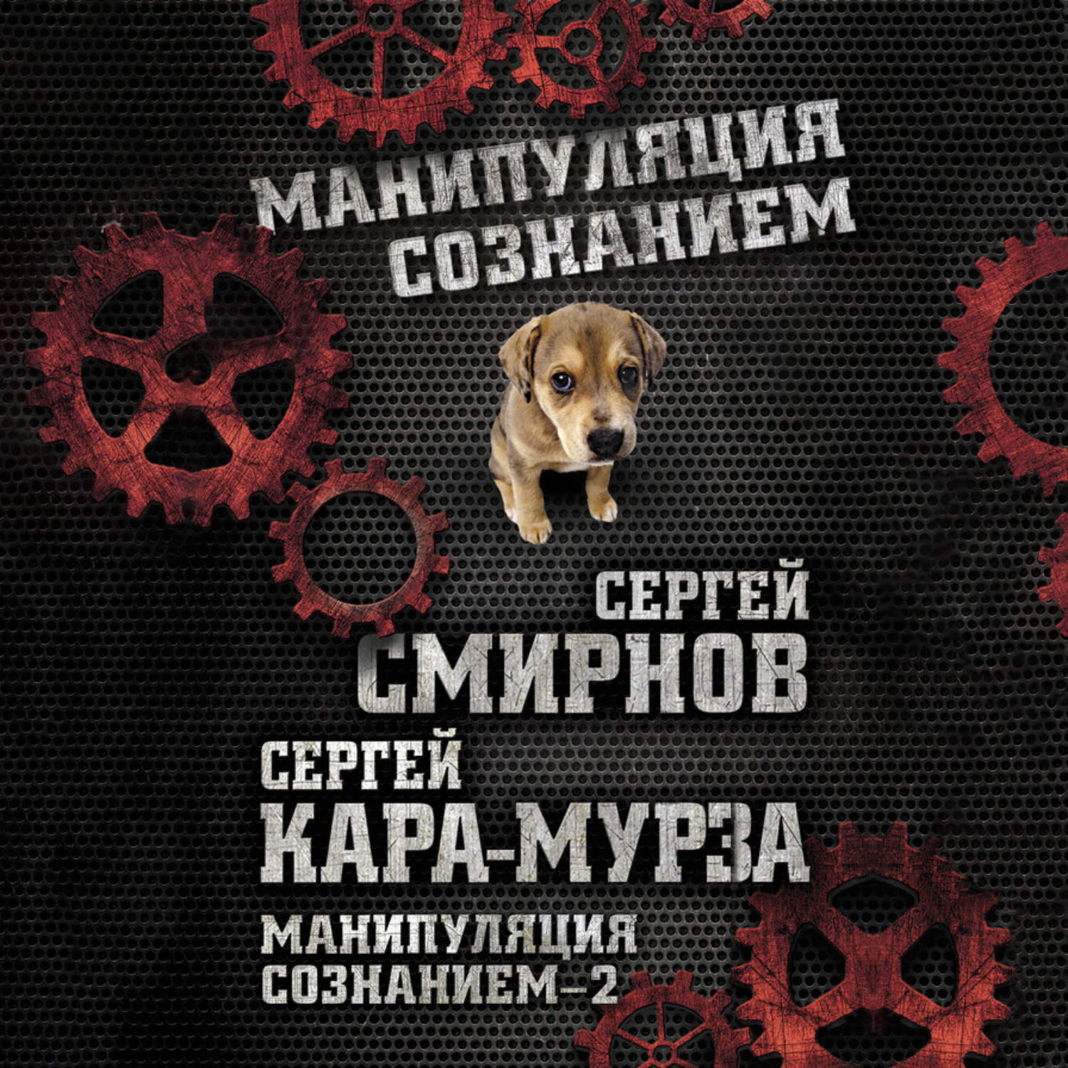Обложка книги «Манипуляция сознанием – 2»