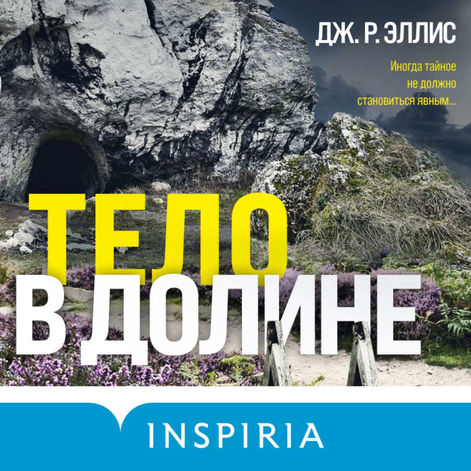 Обложка книги «Тело в долине»