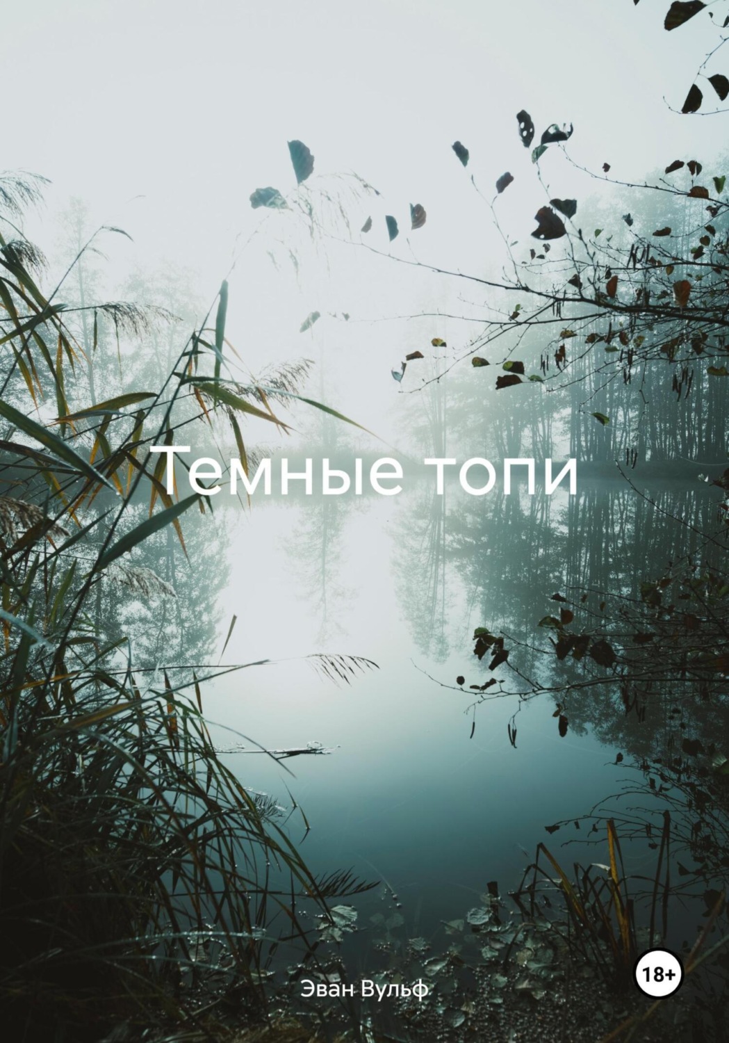 Обложка книги «Темные топи»