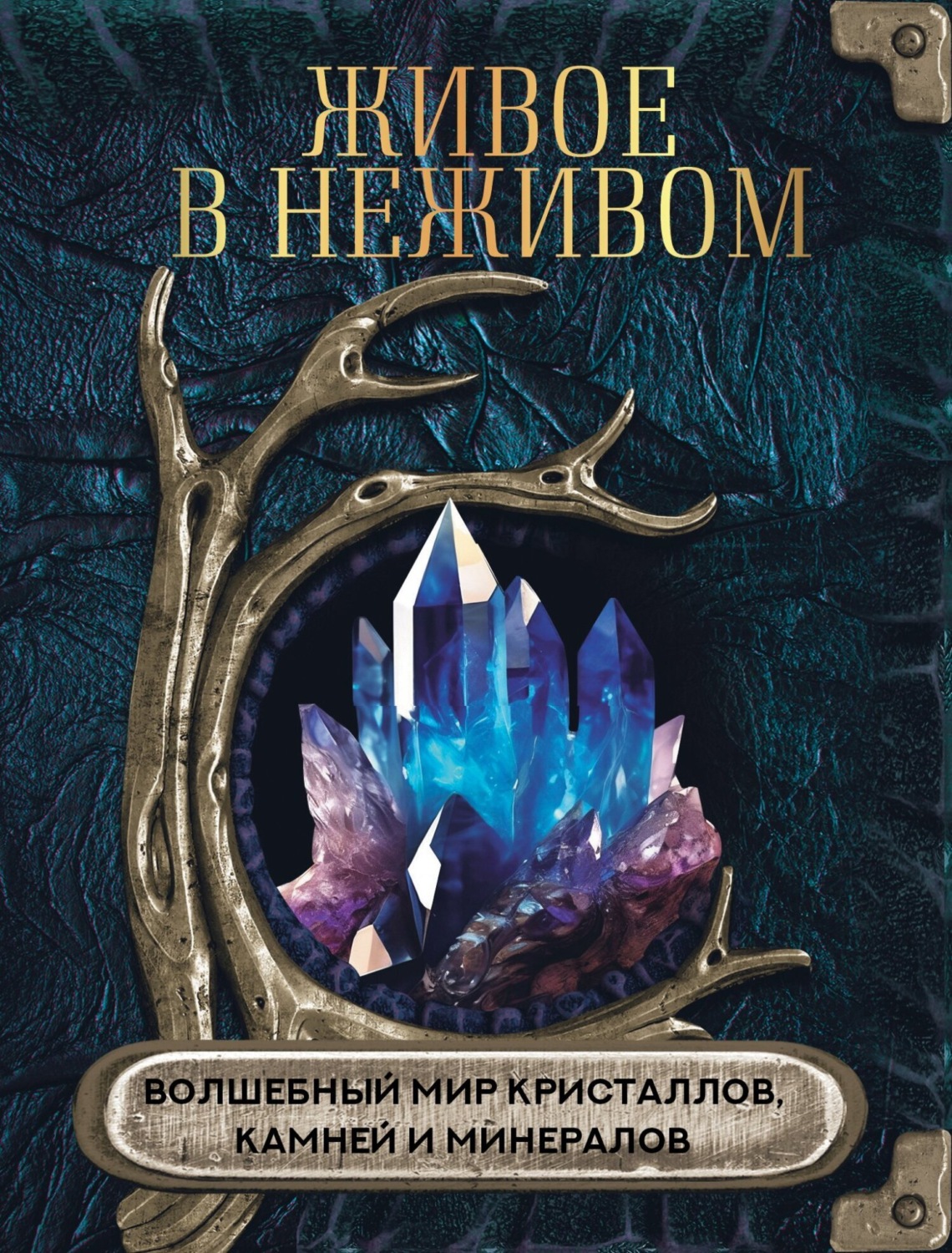 Обложка книги «Живое в неживом. Волшебный мир кристаллов, камней и минералов»