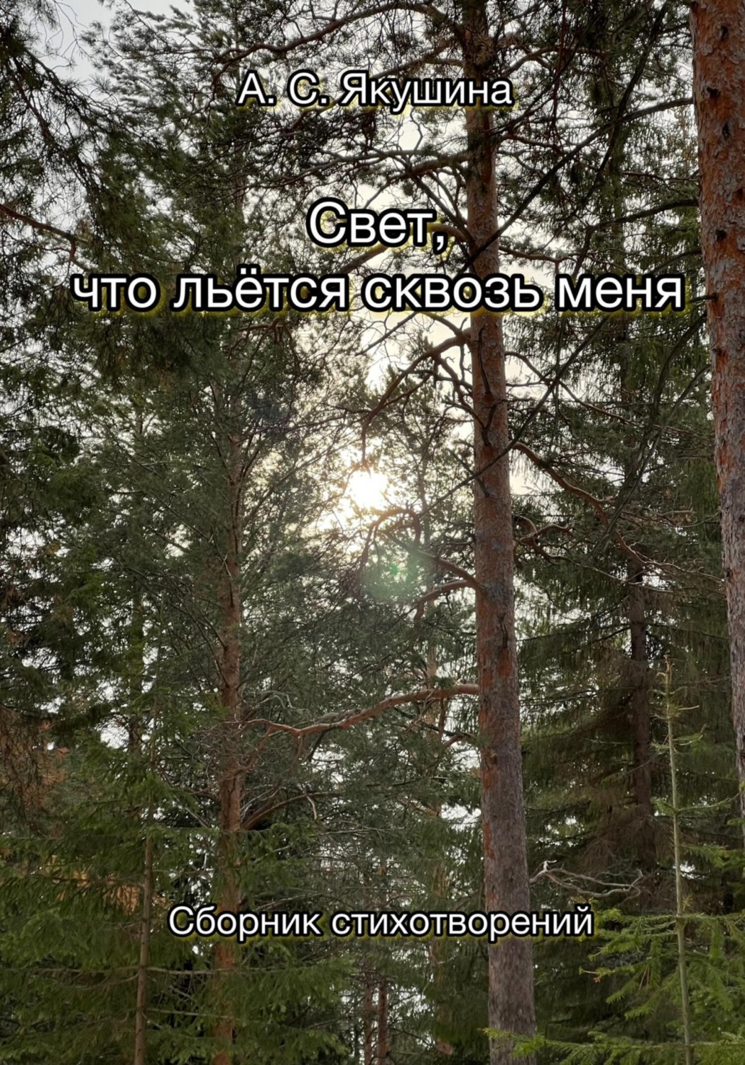 Обложка книги «Свет, что льётся сквозь меня»