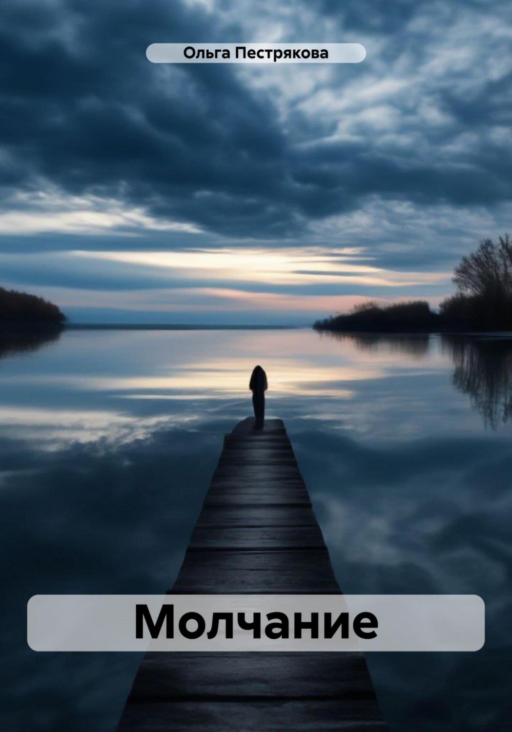 Обложка книги «Молчание»