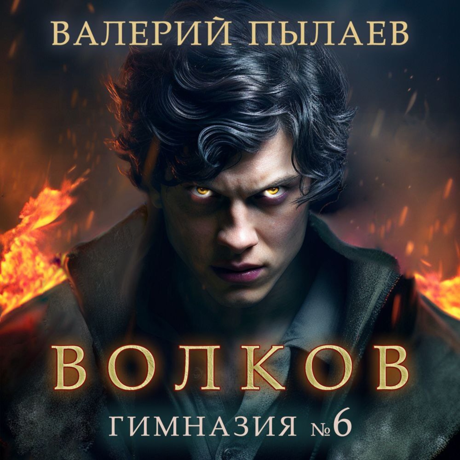 Обложка книги «Волков. Гимназия №6»