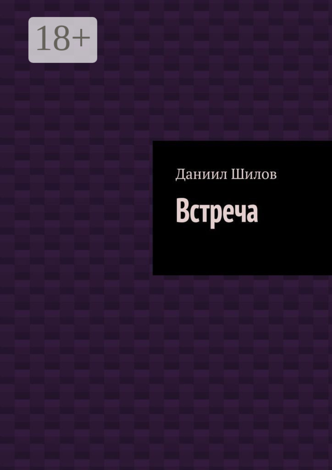Обложка книги «Встреча»