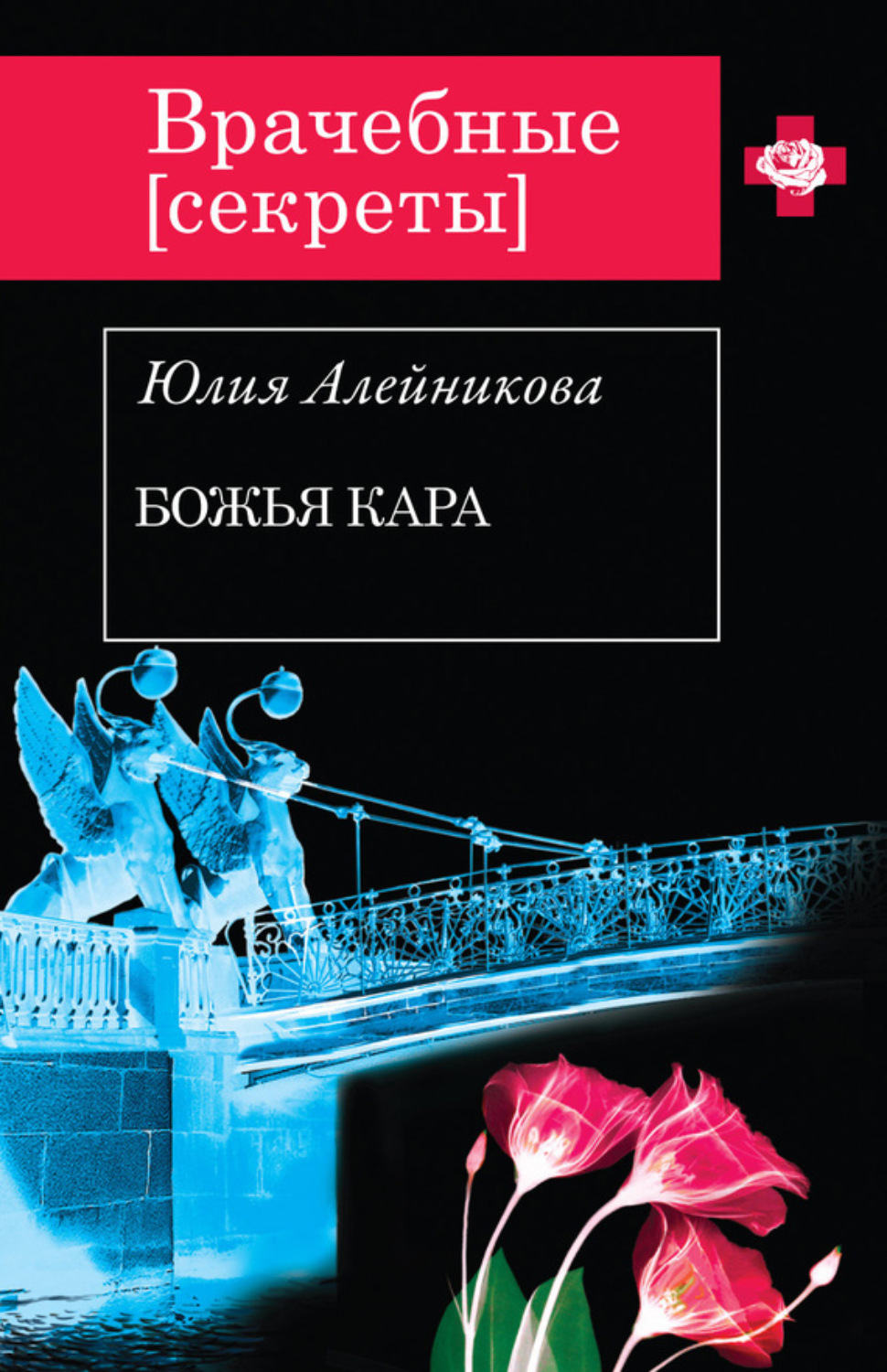 Обложка книги «Божья кара»