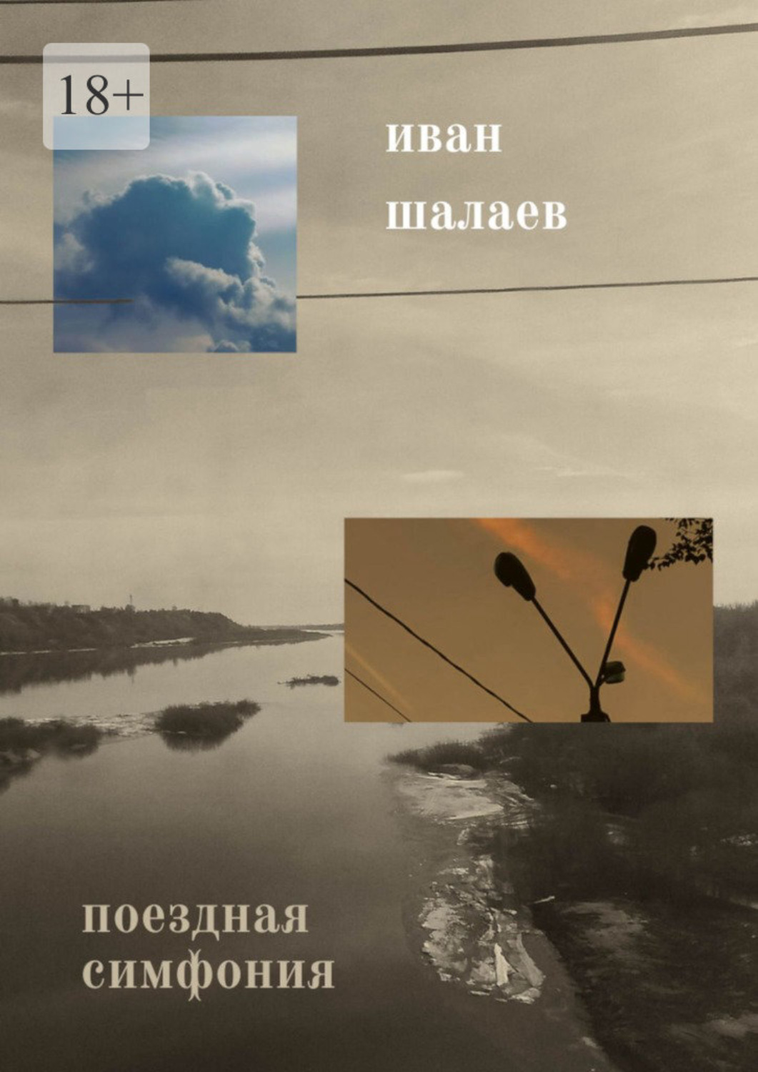 Обложка книги «Поездная симфония»