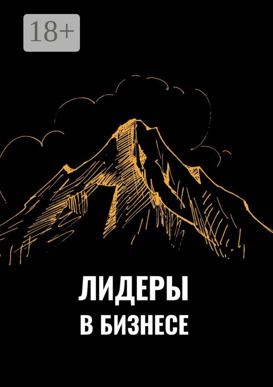 Обложка книги «Лидеры в бизнесе»