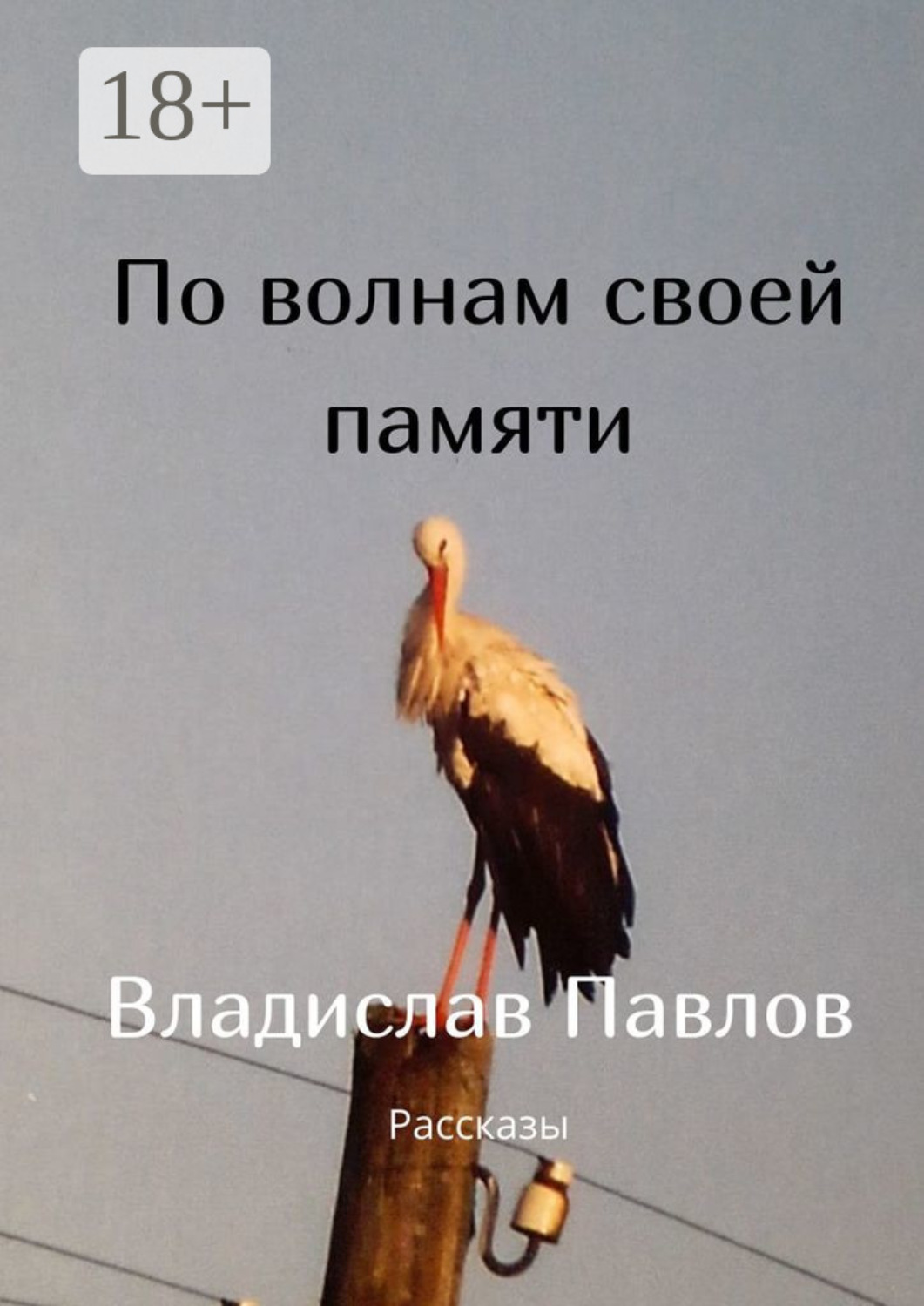 Обложка книги «По волнам своей памяти. Рассказы»