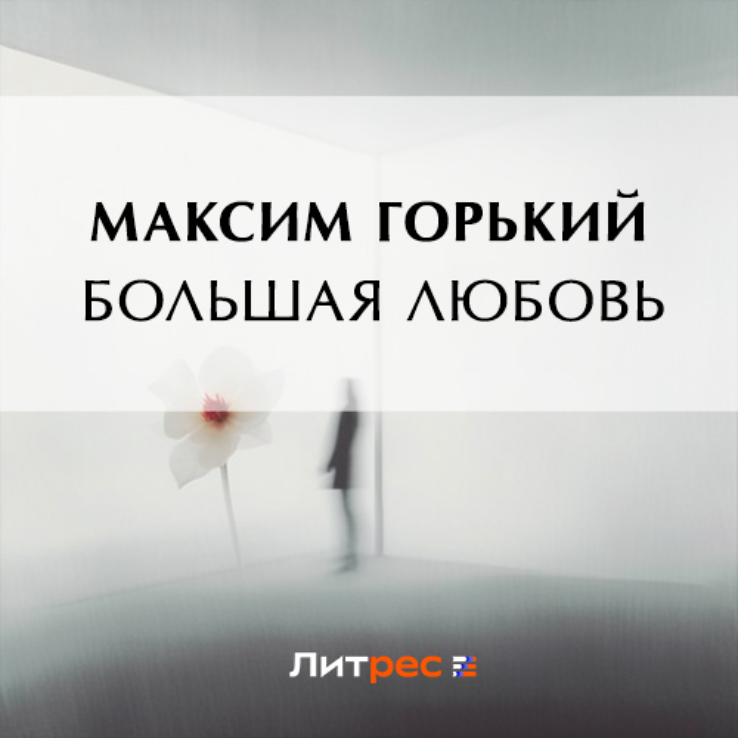 Обложка книги «Большая любовь»