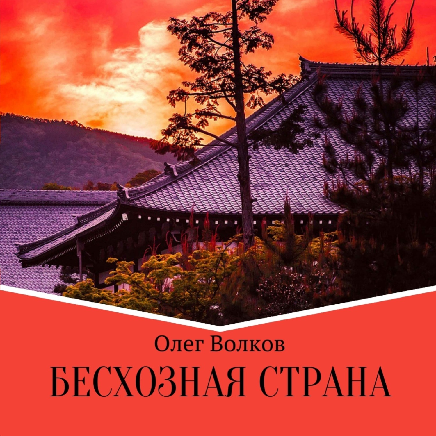 Обложка книги «Бесхозная страна»