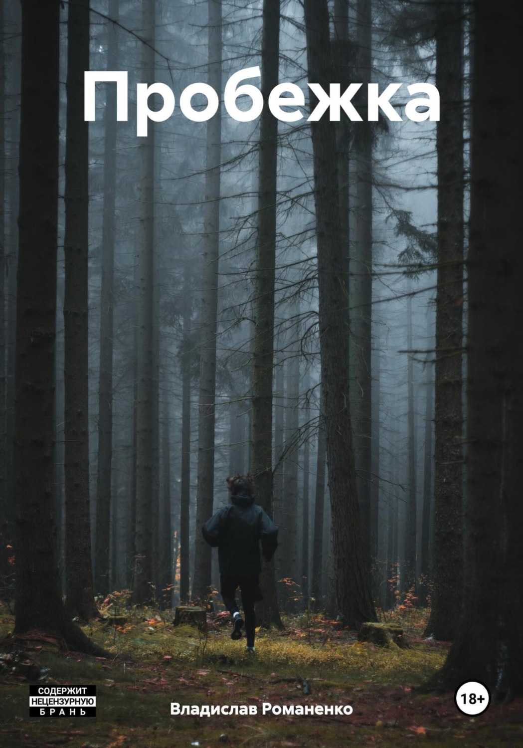 Обложка книги «Пробежка»