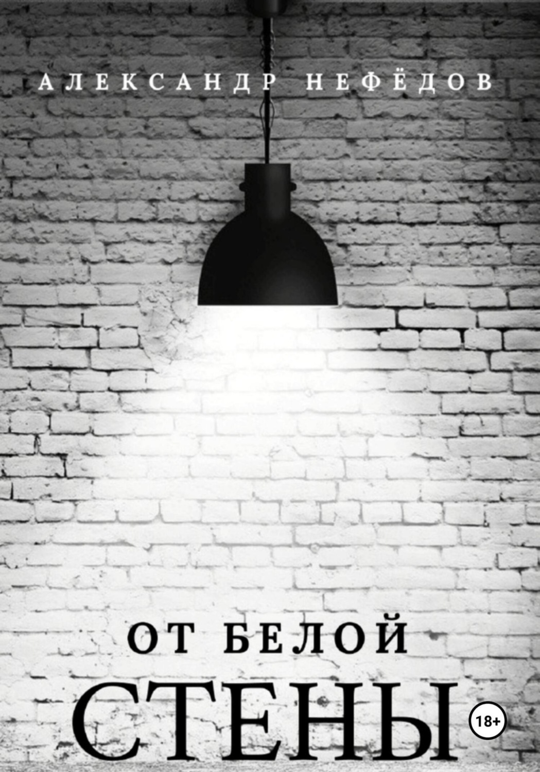Обложка книги «От белой стены»
