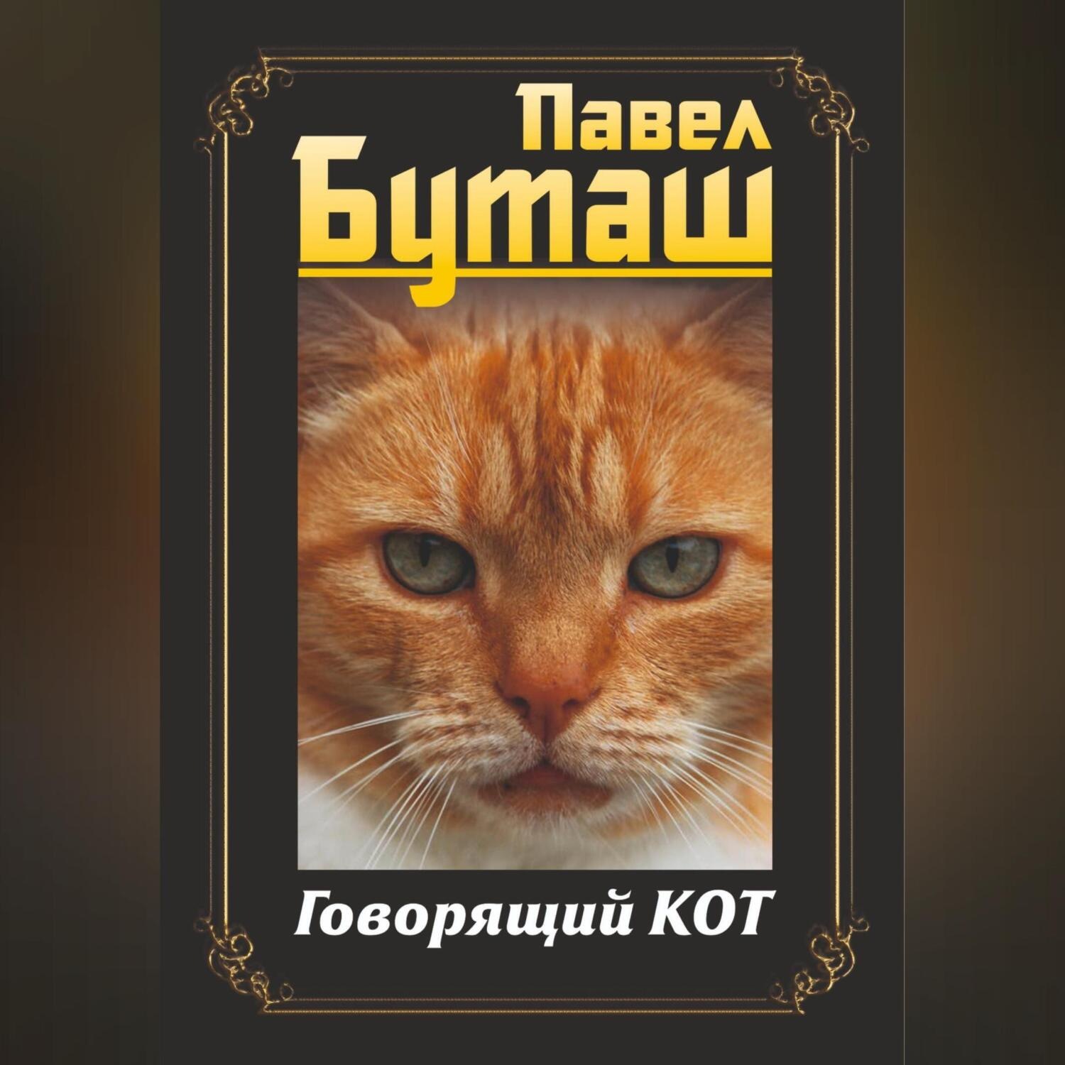 Обложка книги «Говорящий кот»