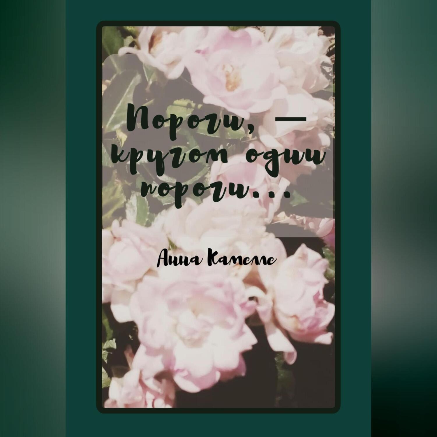 Обложка книги «Пороги – кругом одни пороги»