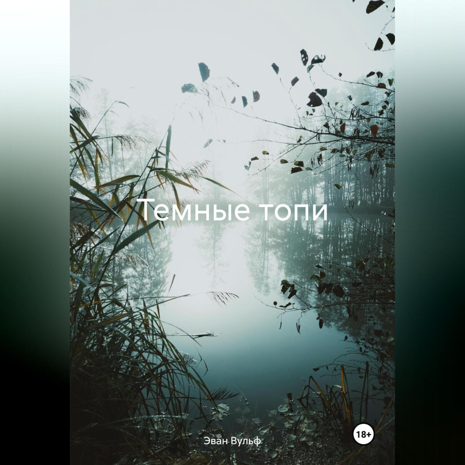 Обложка книги «Темные топи»