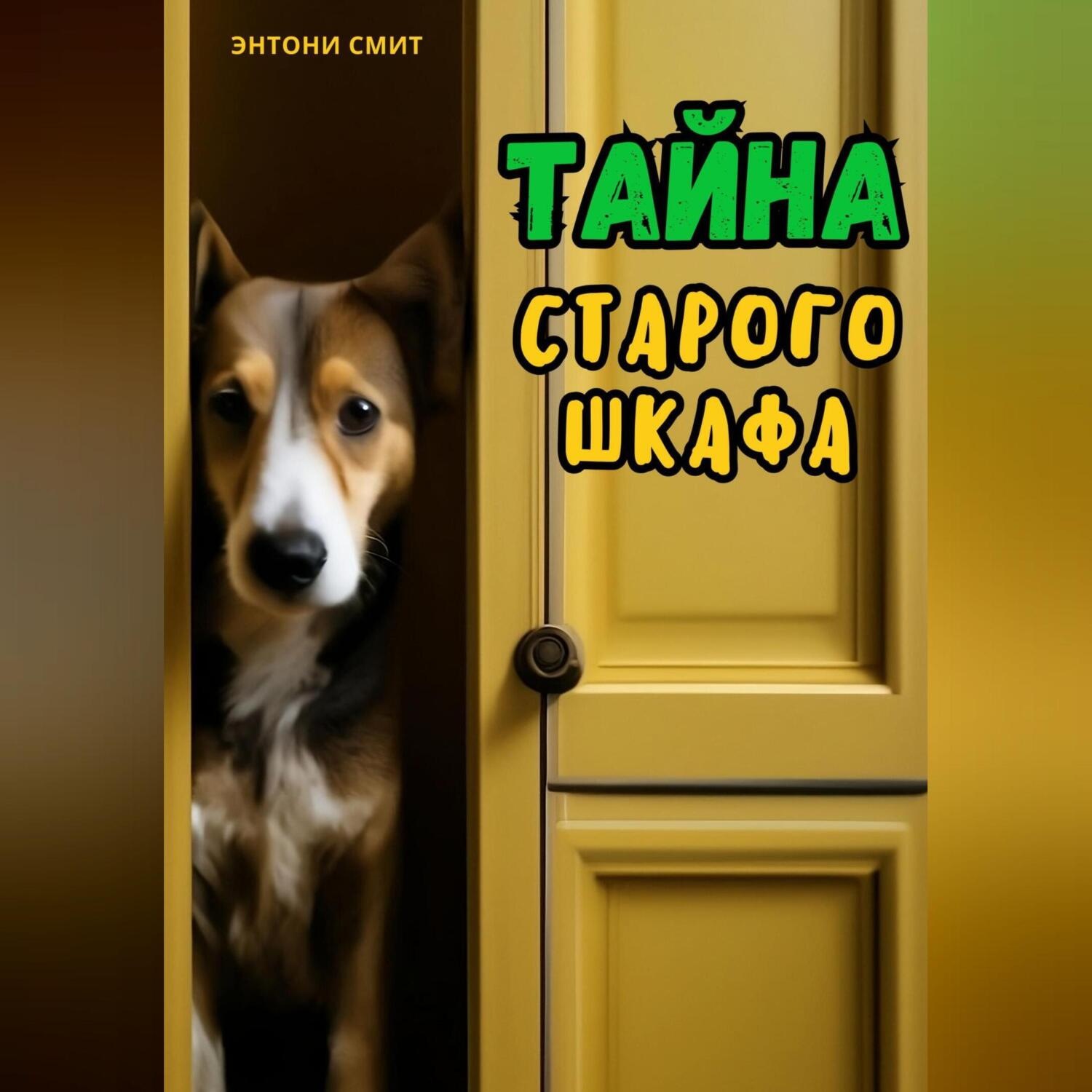 Обложка книги «Тайна старого шкафа»