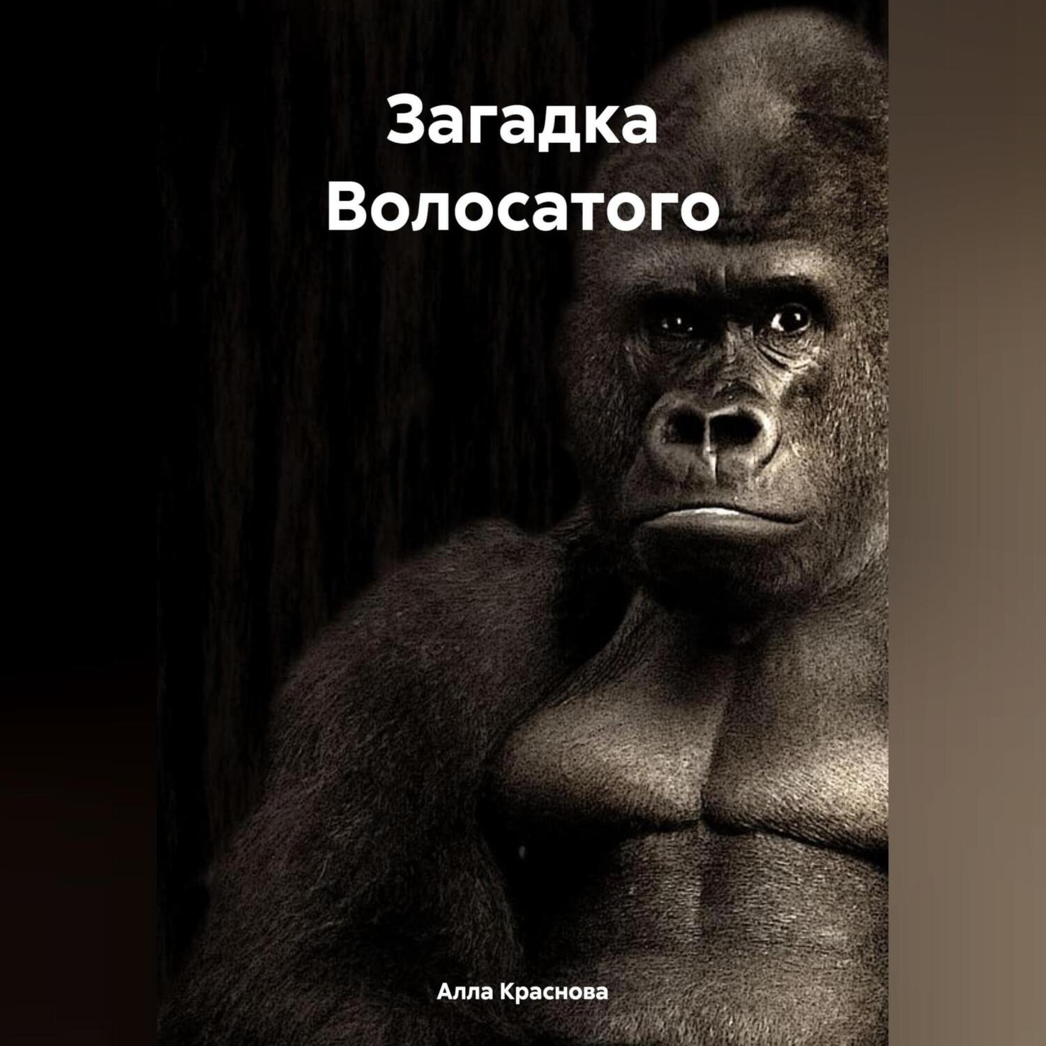 Обложка книги «Загадка Волосатого»
