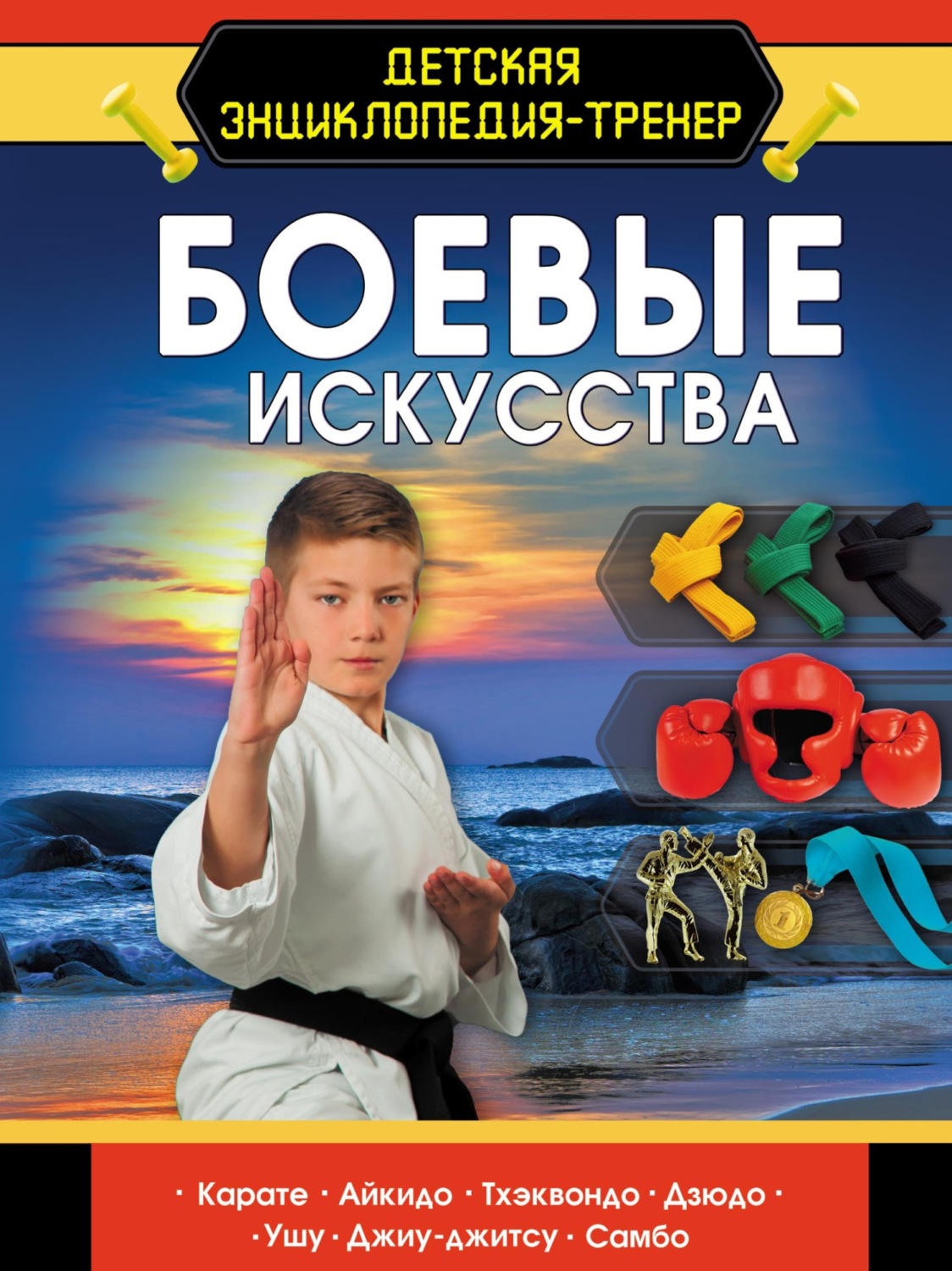 Обложка книги «Боевые искусства»