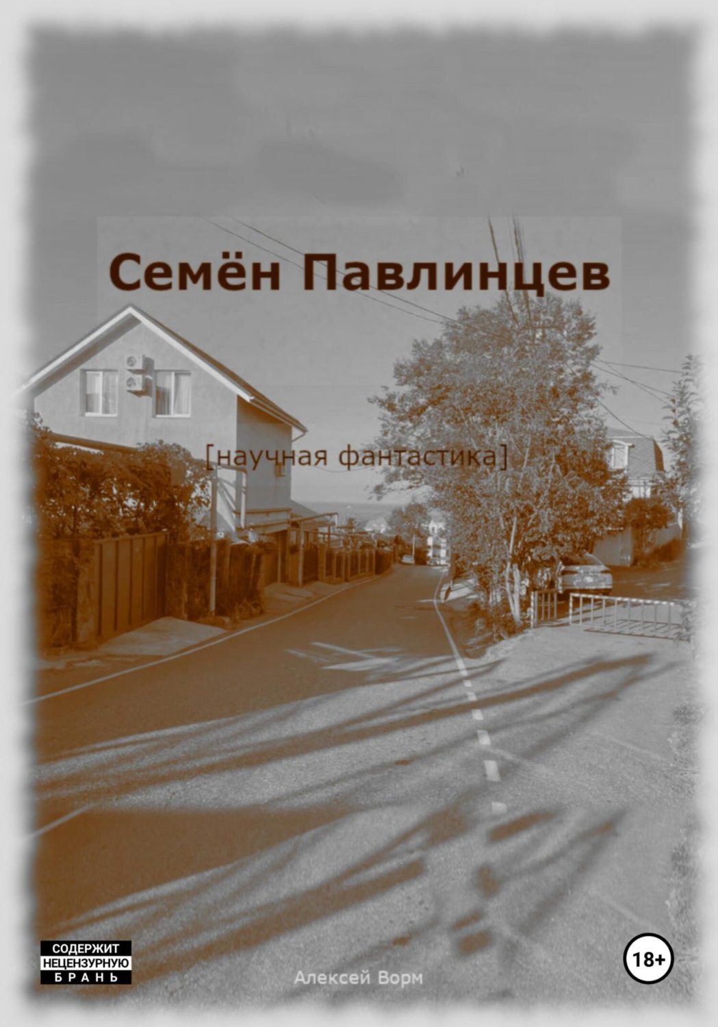 Обложка книги «Семён Павлинцев»