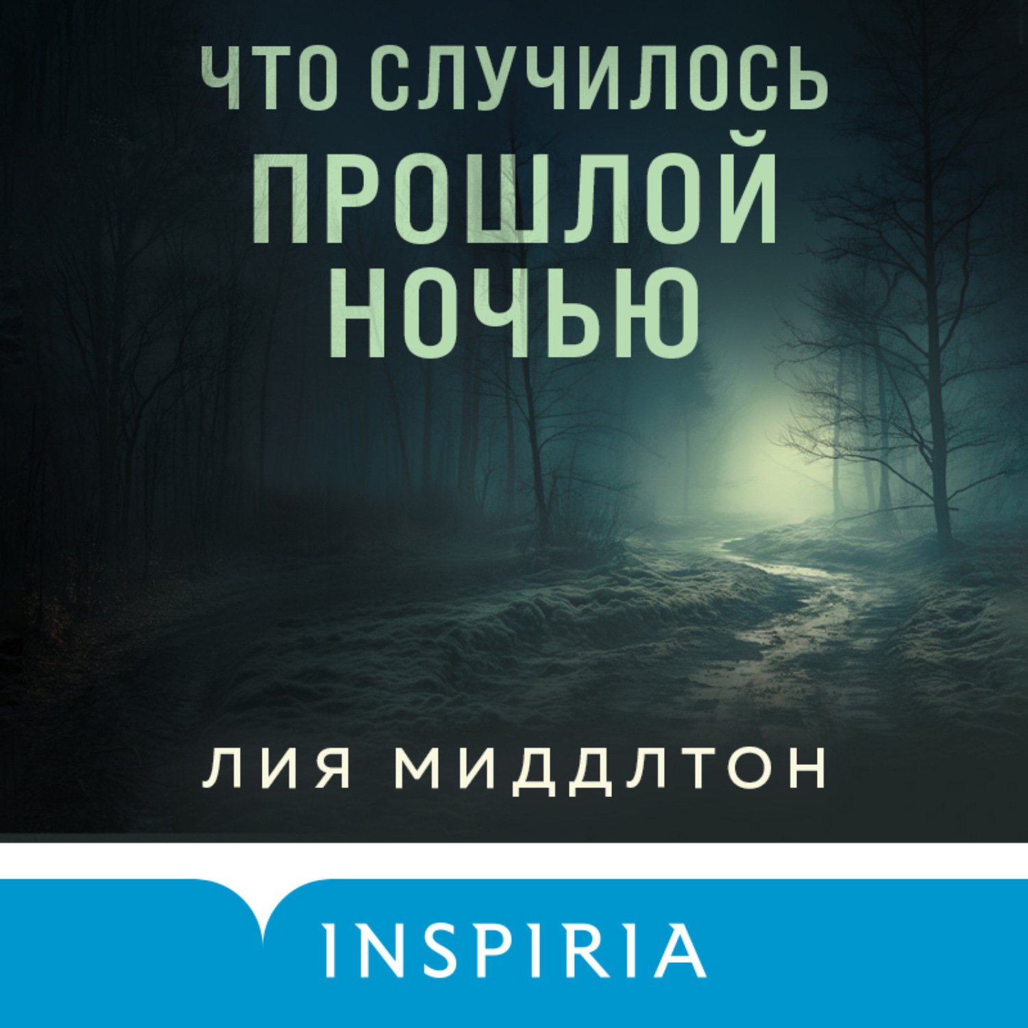 Обложка книги «Что случилось прошлой ночью»