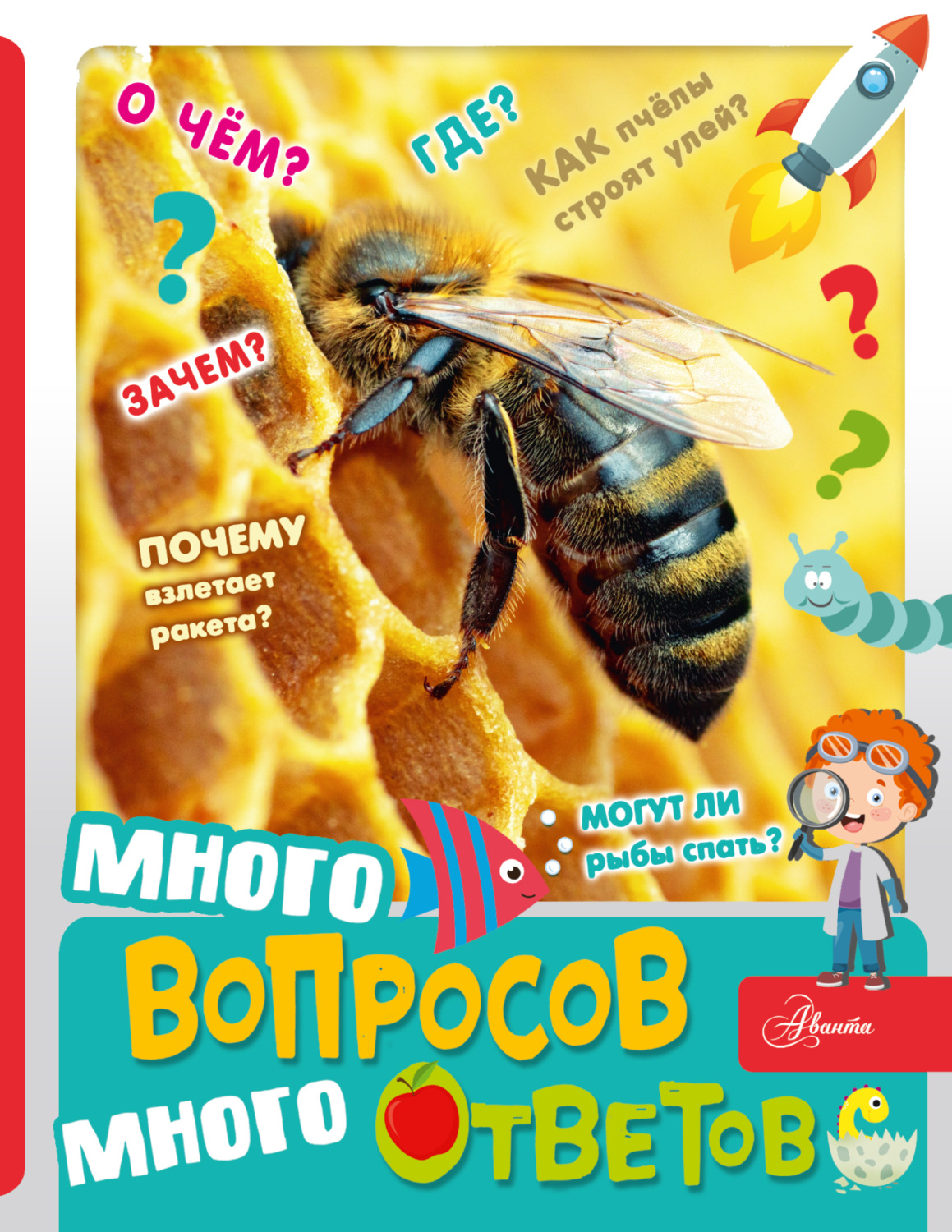 Обложка книги «Много вопросов, много ответов»