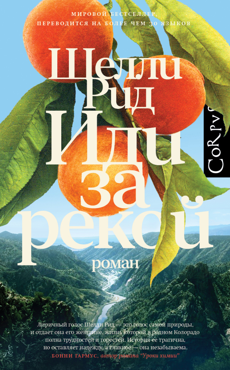 Обложка книги «Иди за рекой»
