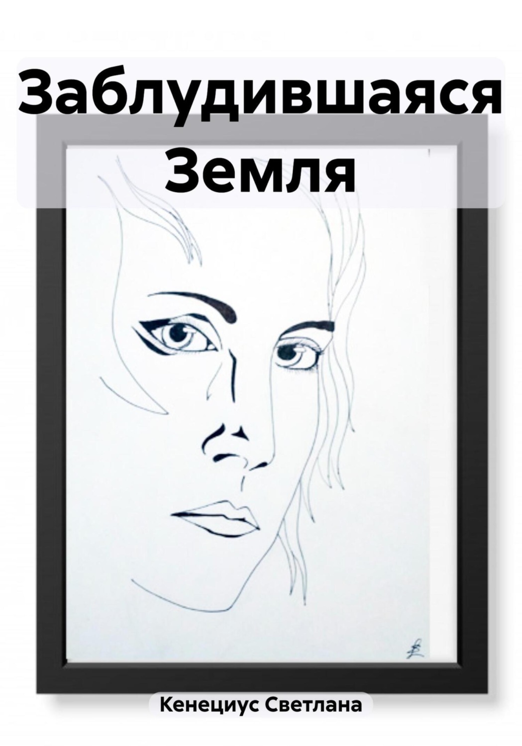 Обложка книги «Заблудившаяся Земля»