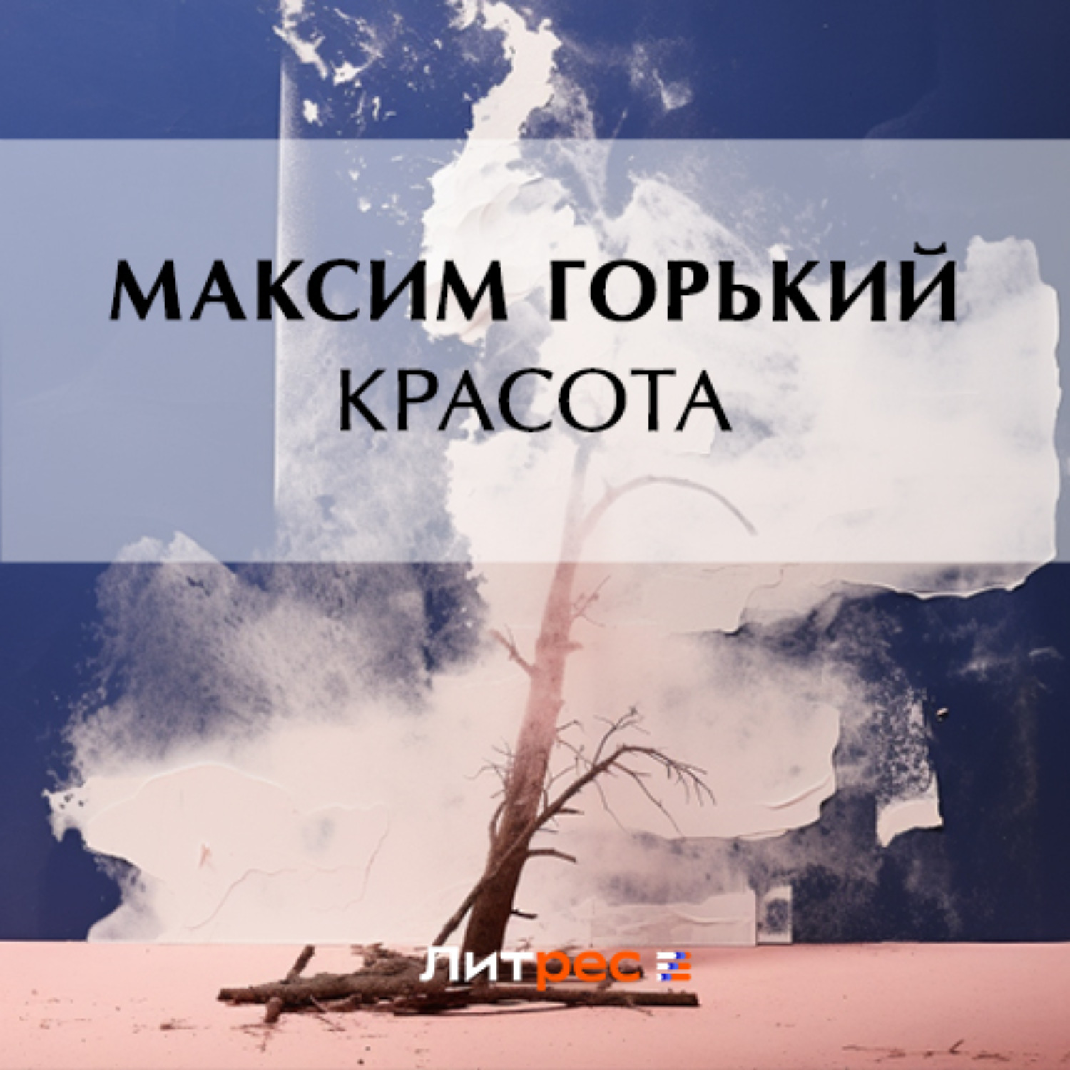 Обложка книги «Красота»