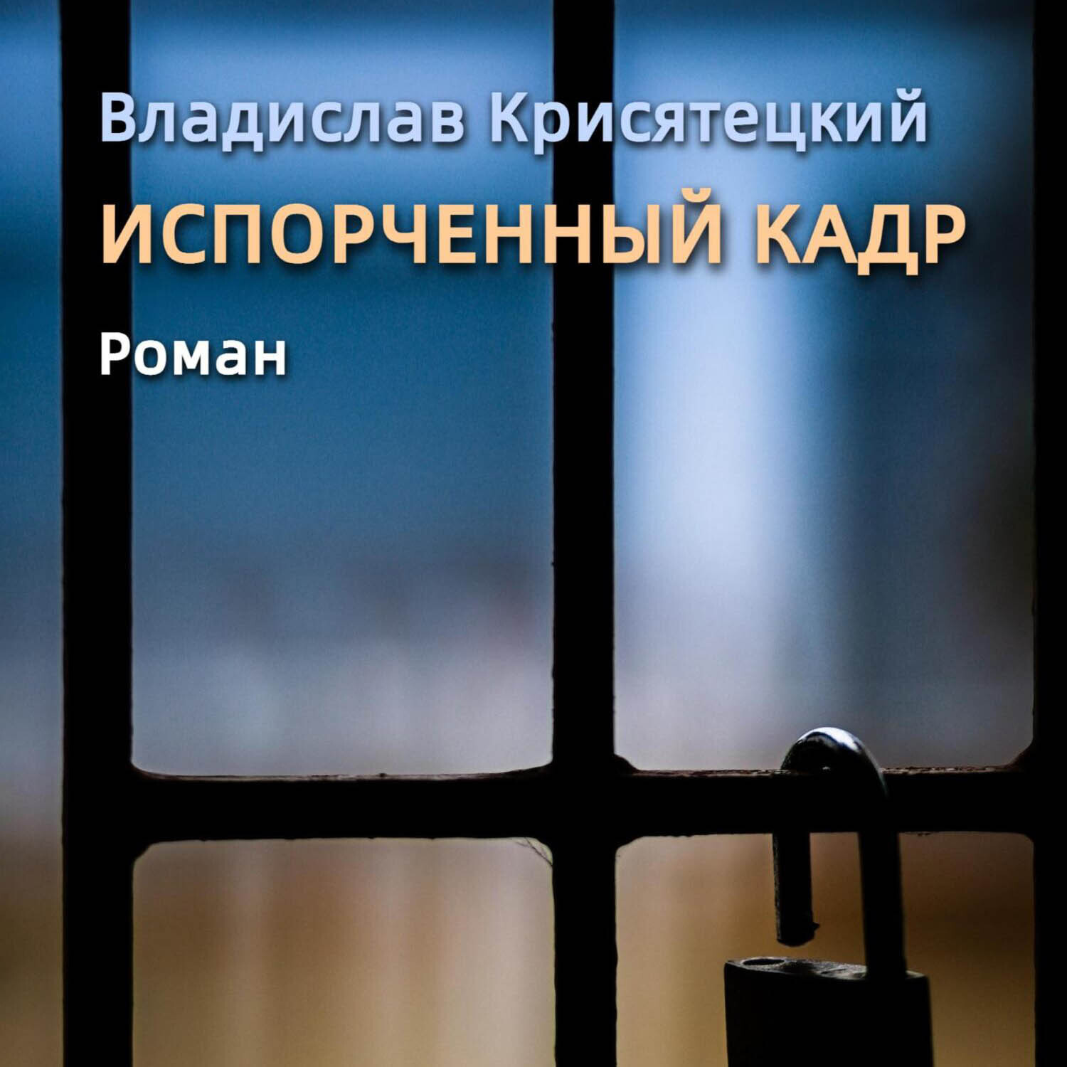 Обложка книги «Испорченный кадр»