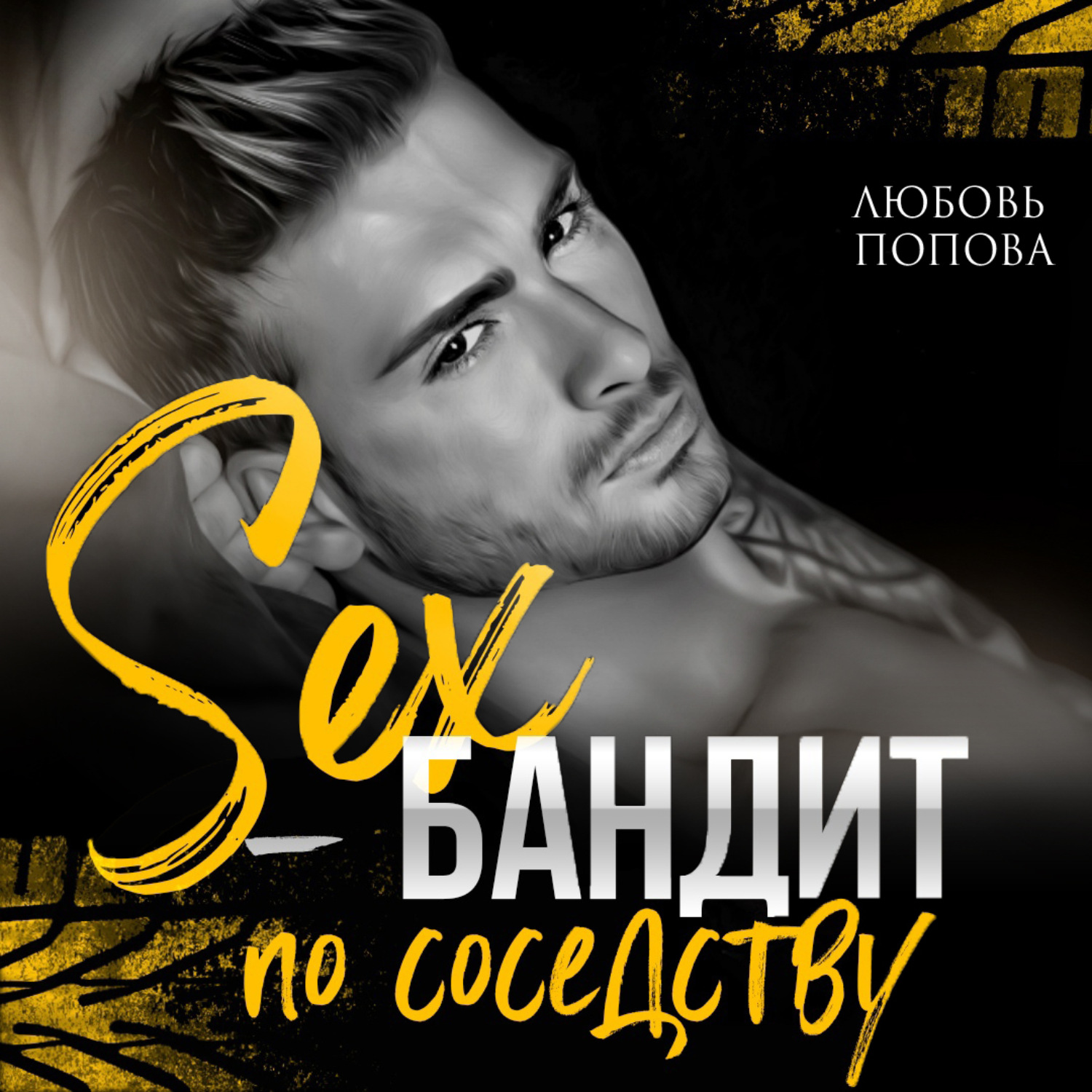 Обложка книги «Секс-бандит по соседству»