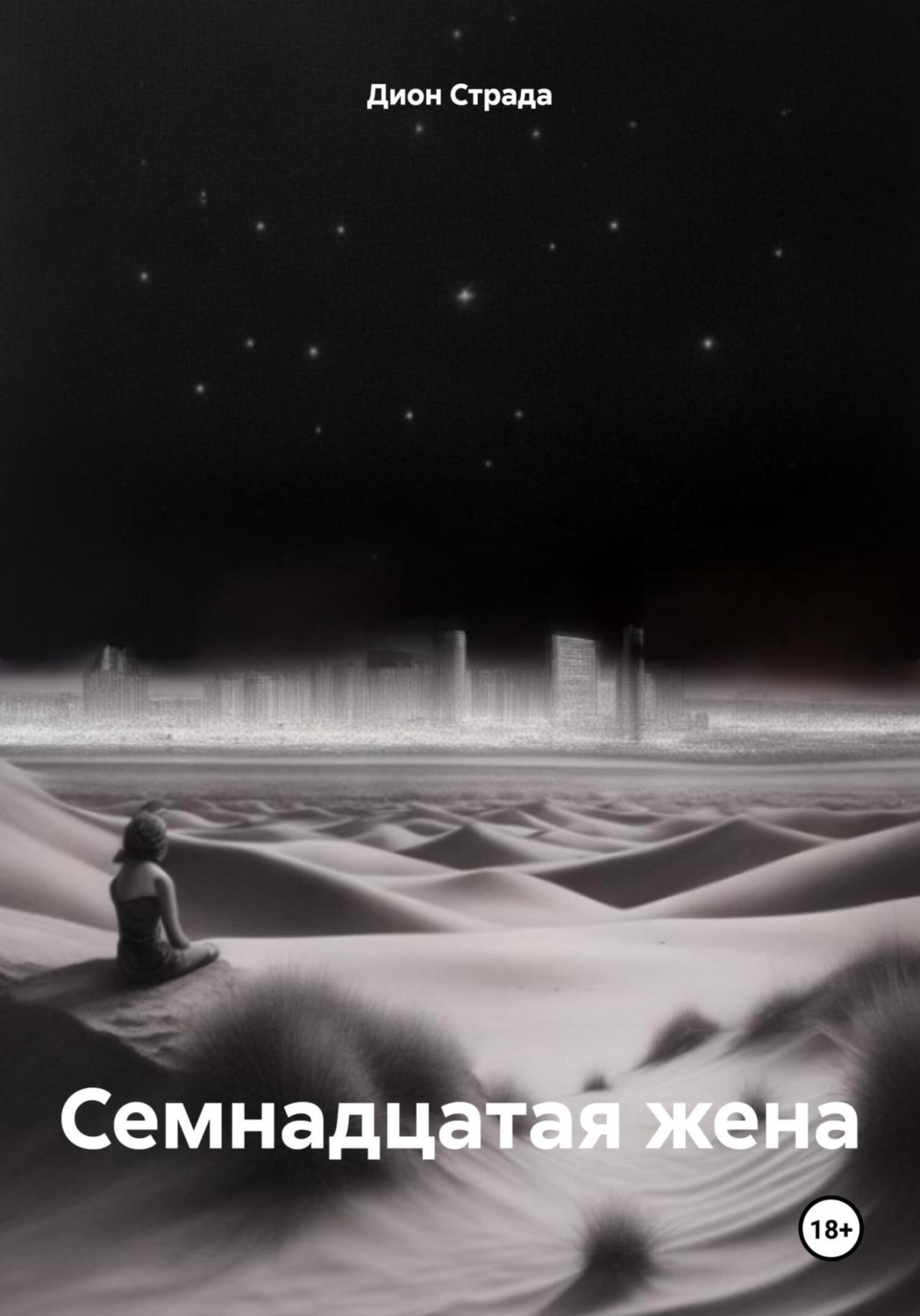Обложка книги «Семнадцатая жена»