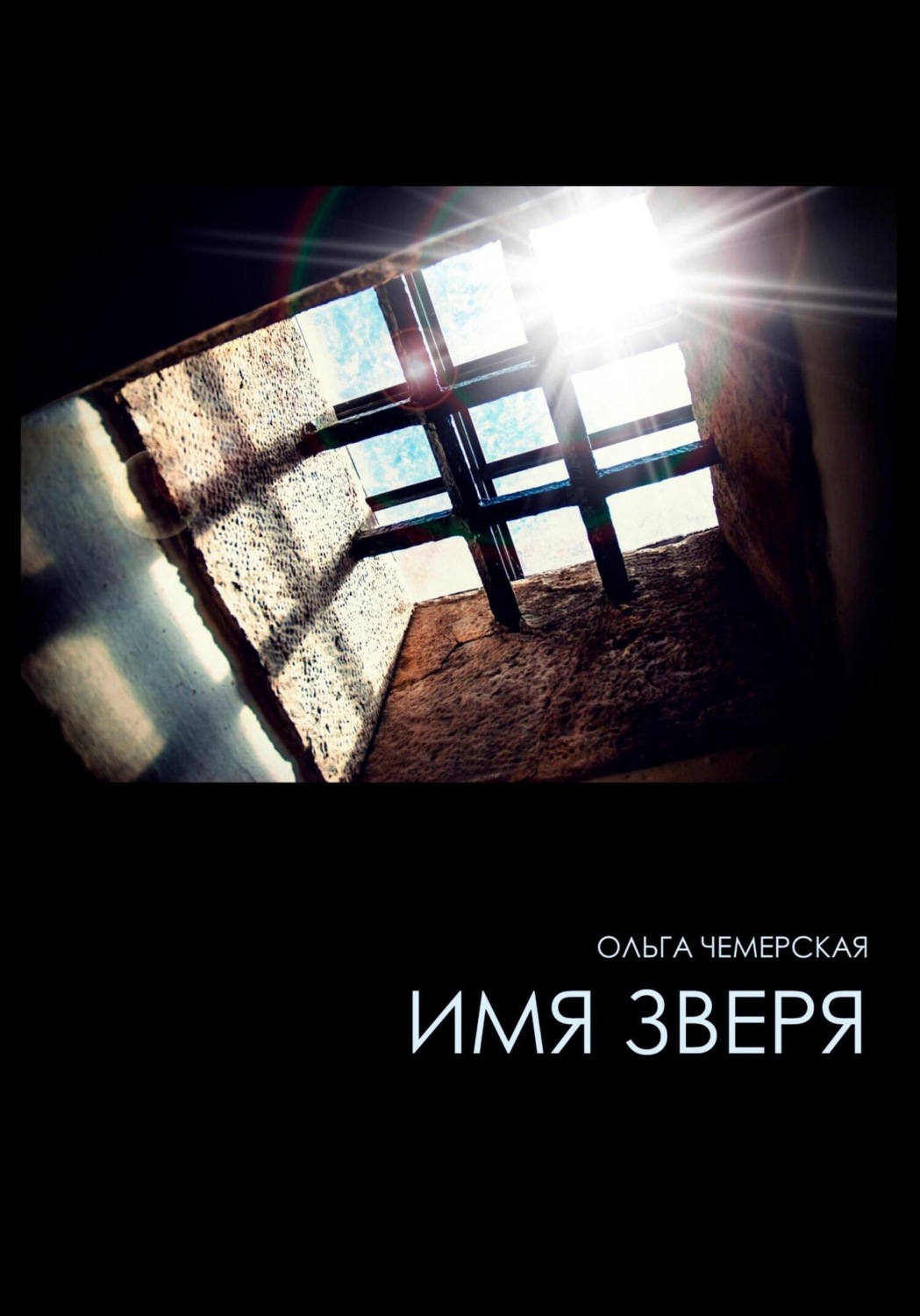 Обложка книги «Имя зверя»