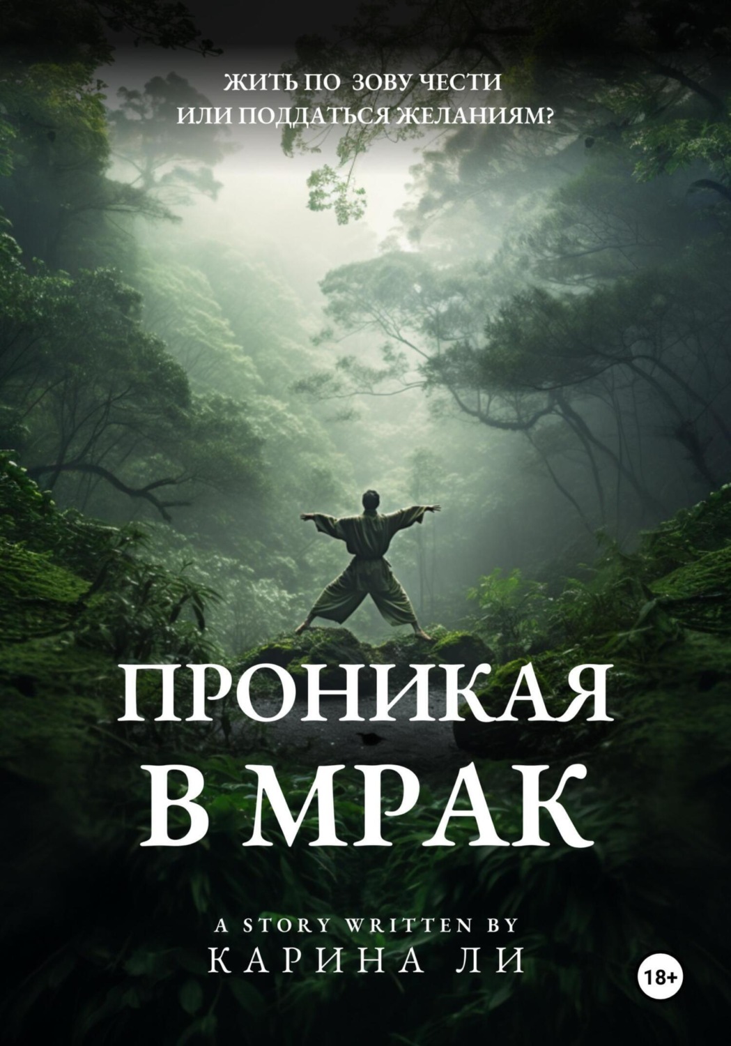 Обложка книги «Проникая в мрак»