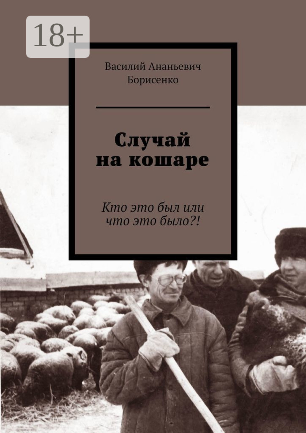 Обложка книги «Случай на кошаре. Кто это был или что это было?!»