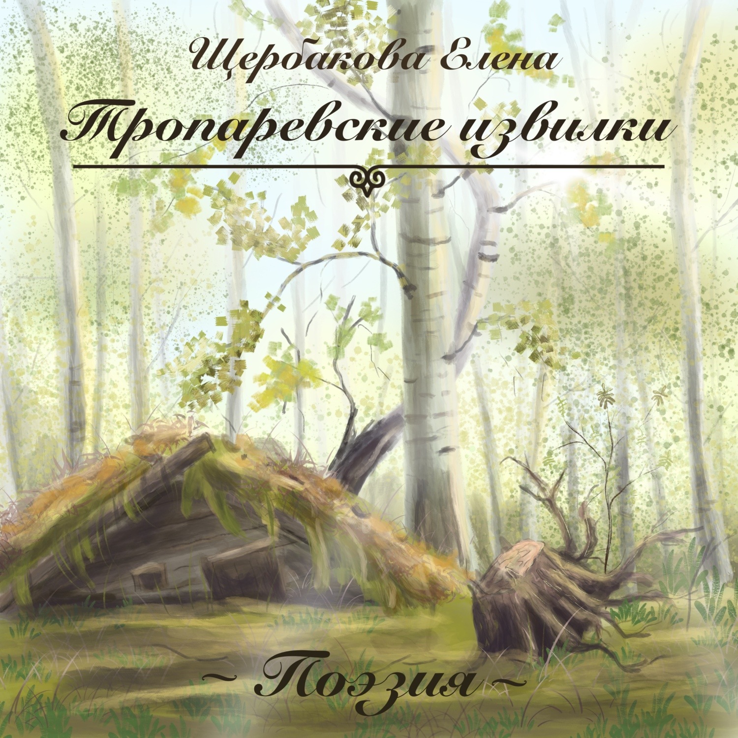 Обложка книги «Тропаревские извилки»