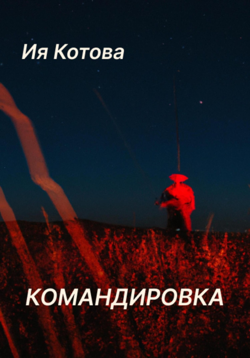 Обложка книги «Командировка»