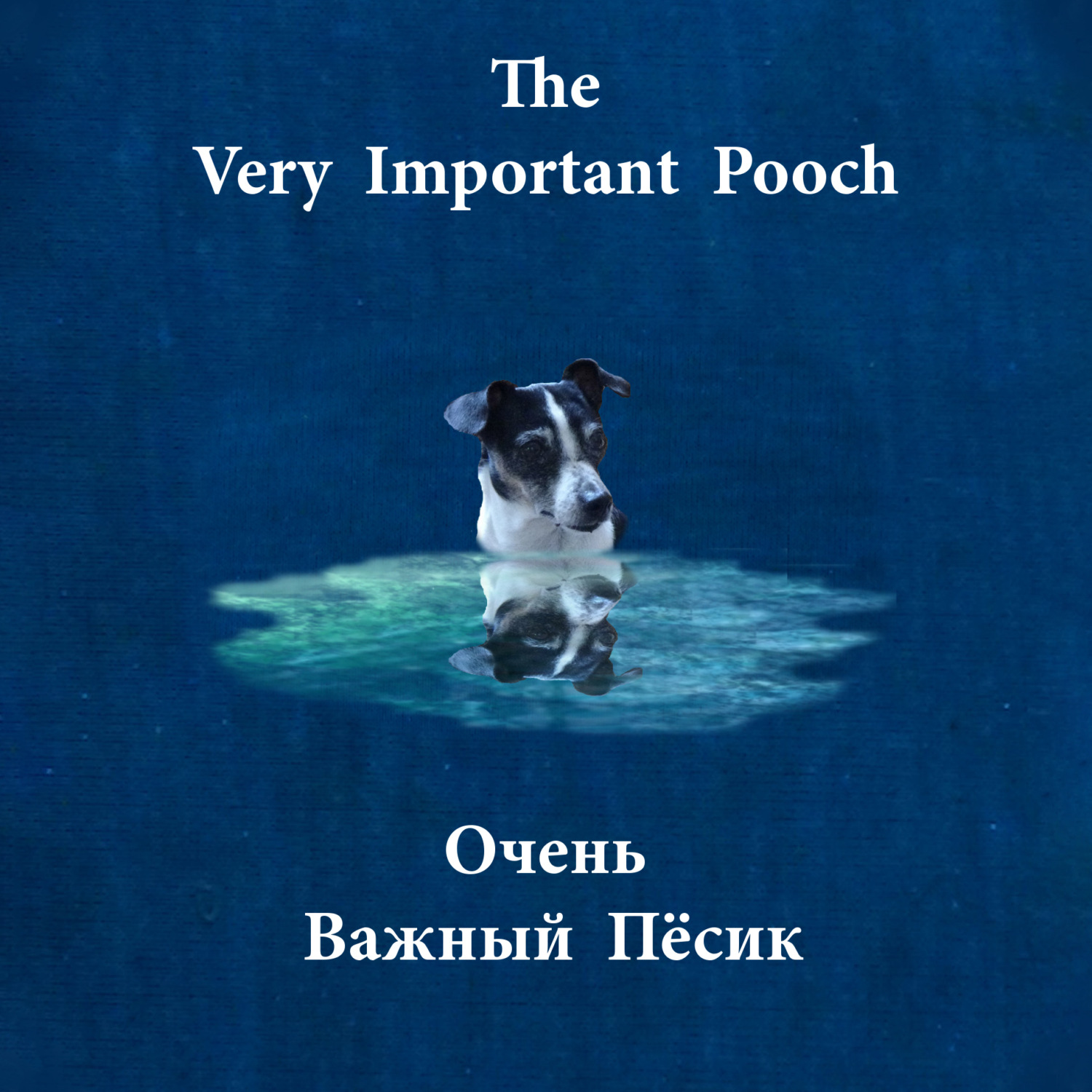 Обложка книги «The Very Important Pooch / Очень Важный Пёсик»