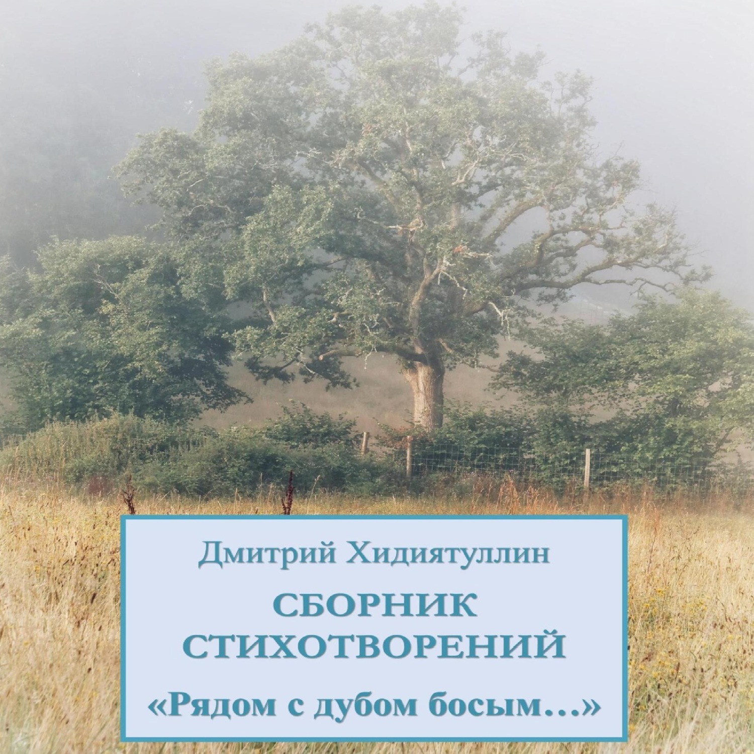 Обложка книги «Рядом с дубом босым…»