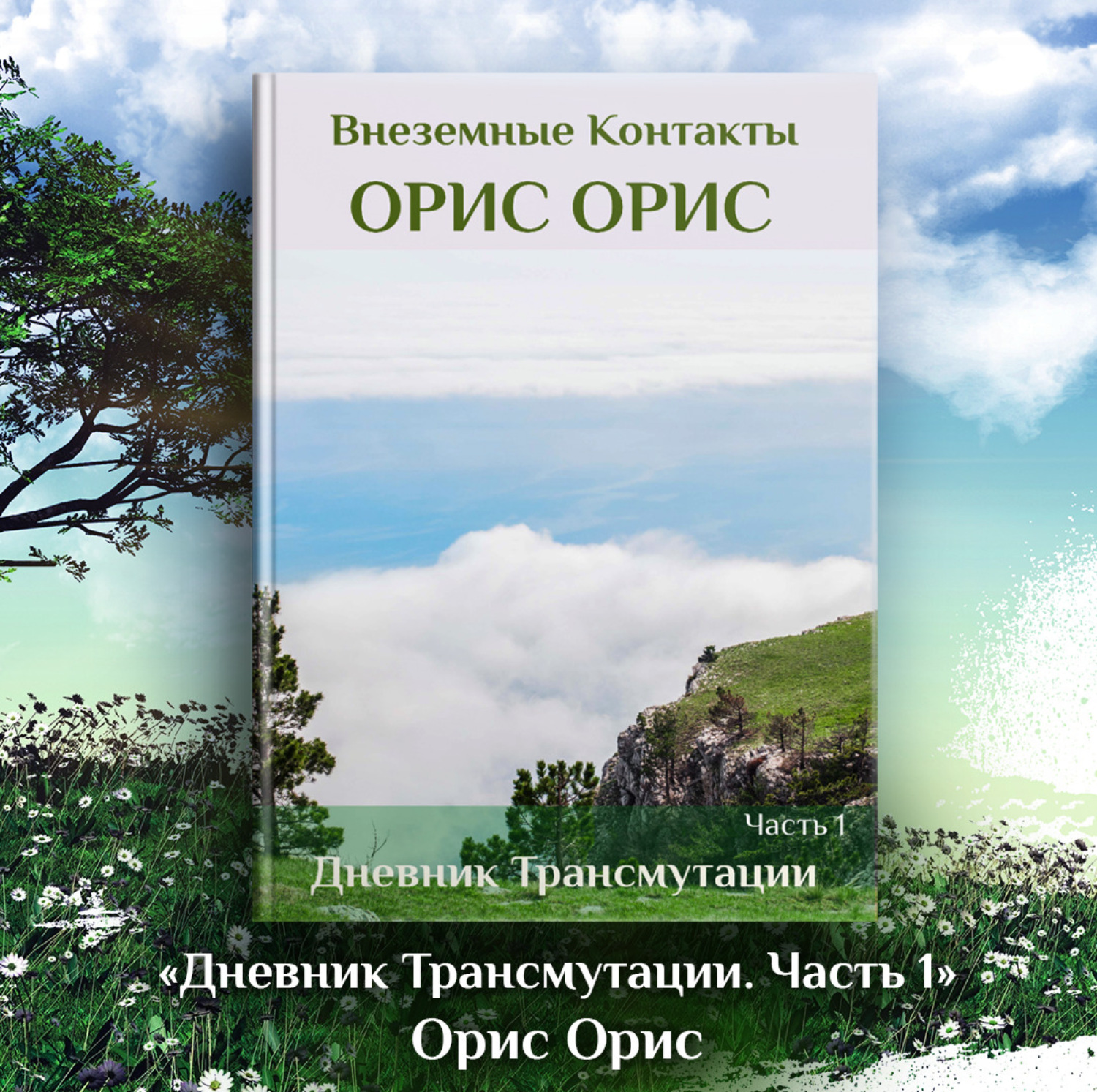 Обложка книги «Дневник Трансмутации. Часть 1»
