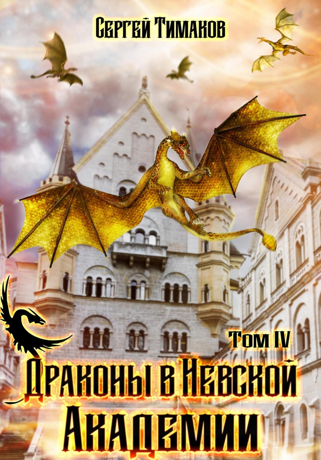 Обложка книги «Драконы в Невской Академии»