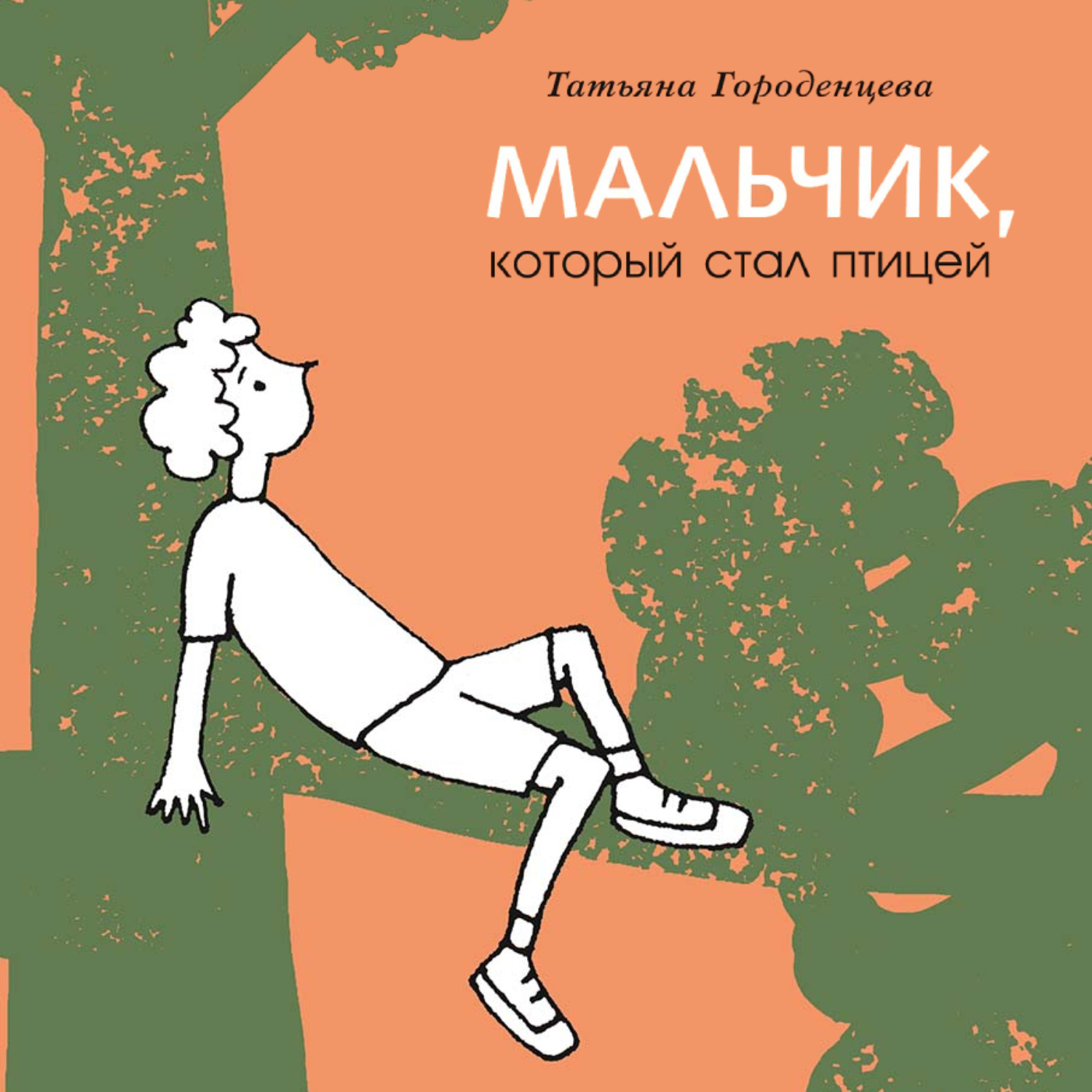 Обложка книги «Мальчик, который стал птицей»