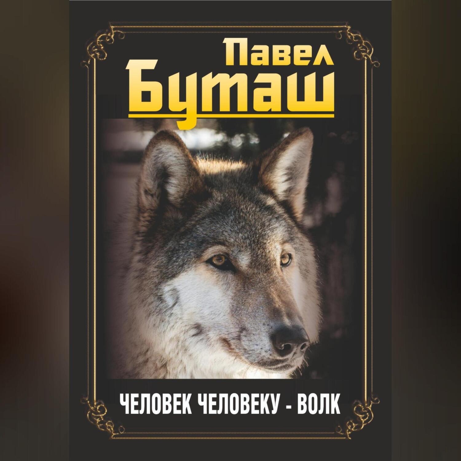 Обложка книги «Человек человеку – волк»
