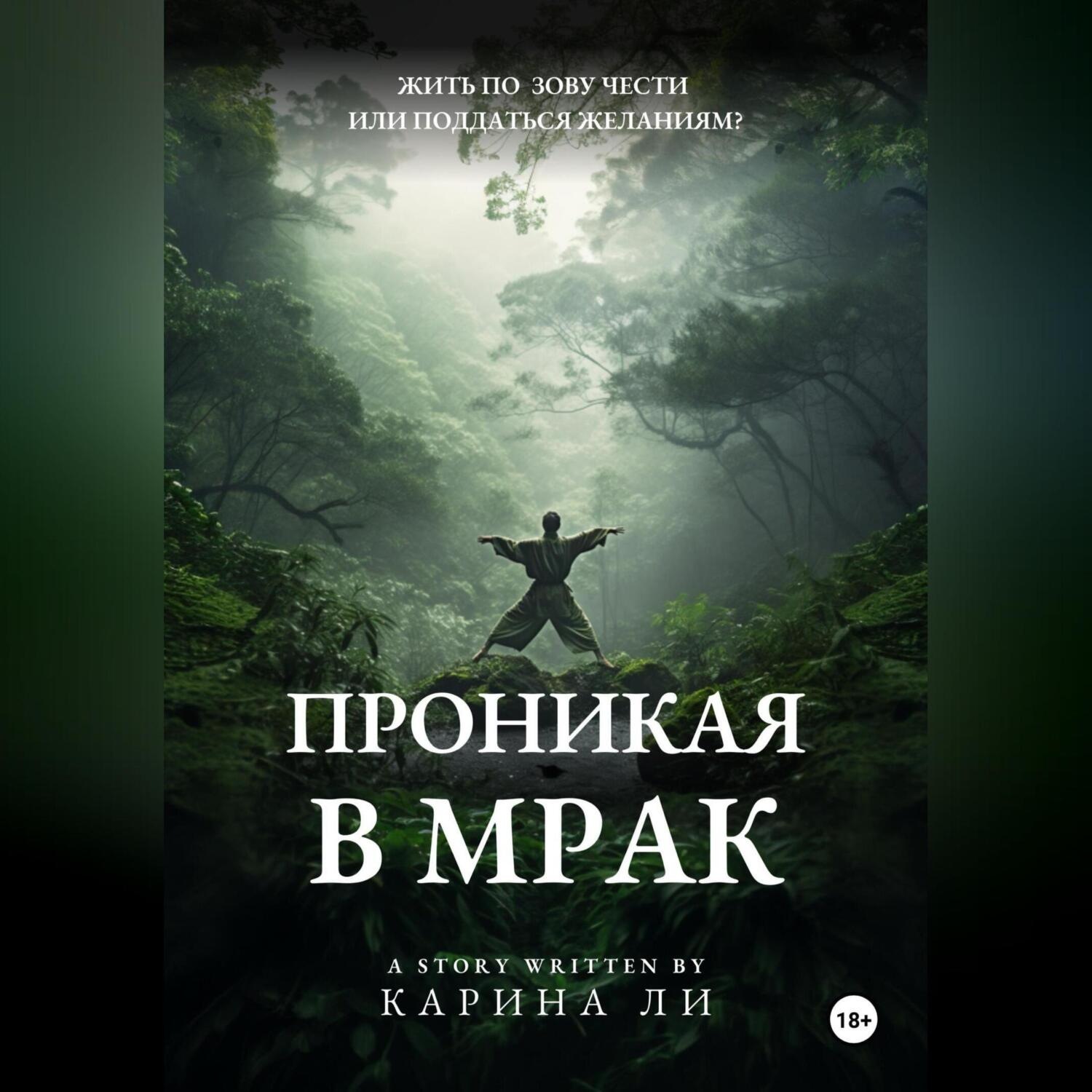 Обложка книги «Проникая в мрак»