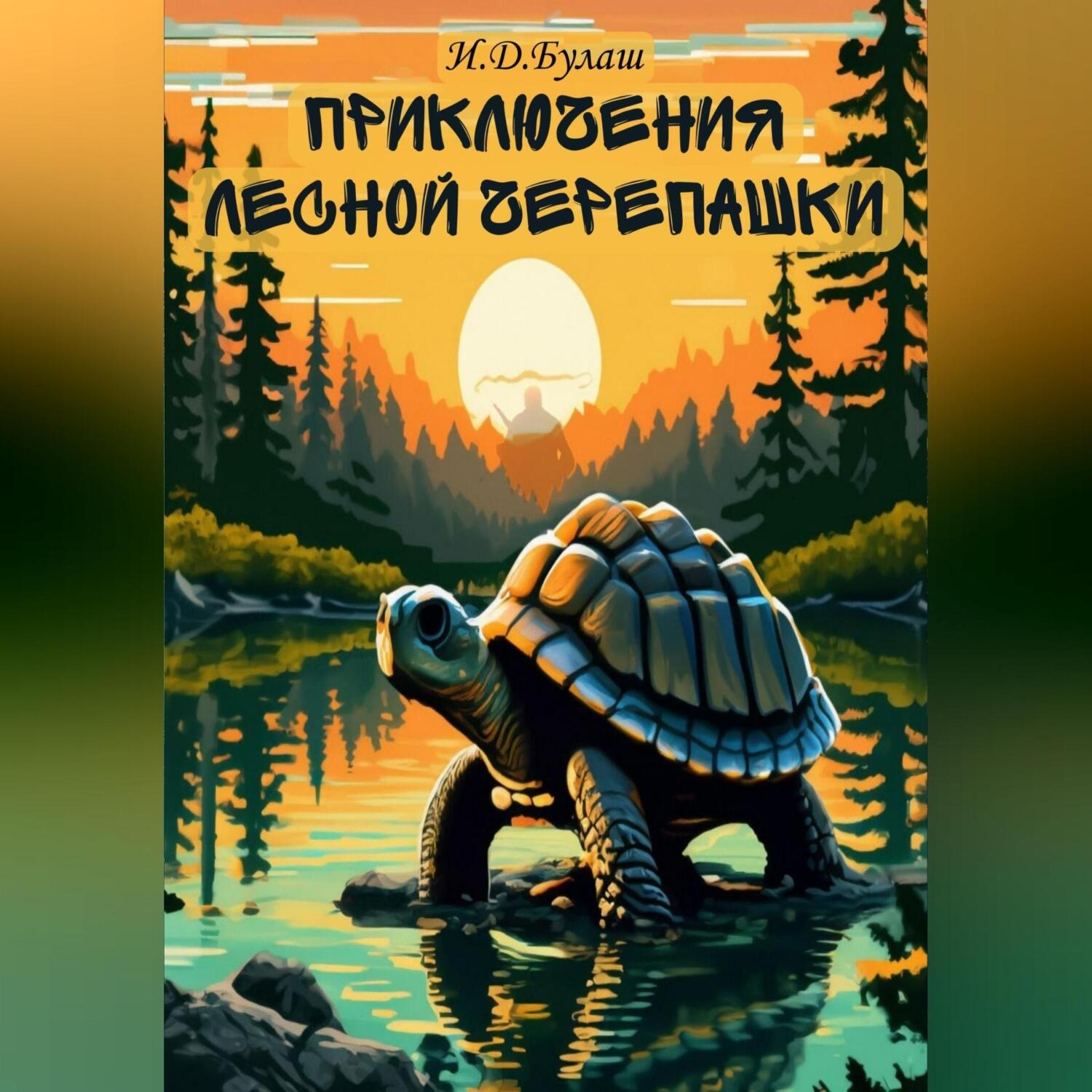 Обложка книги «Приключения лесной черепашки»