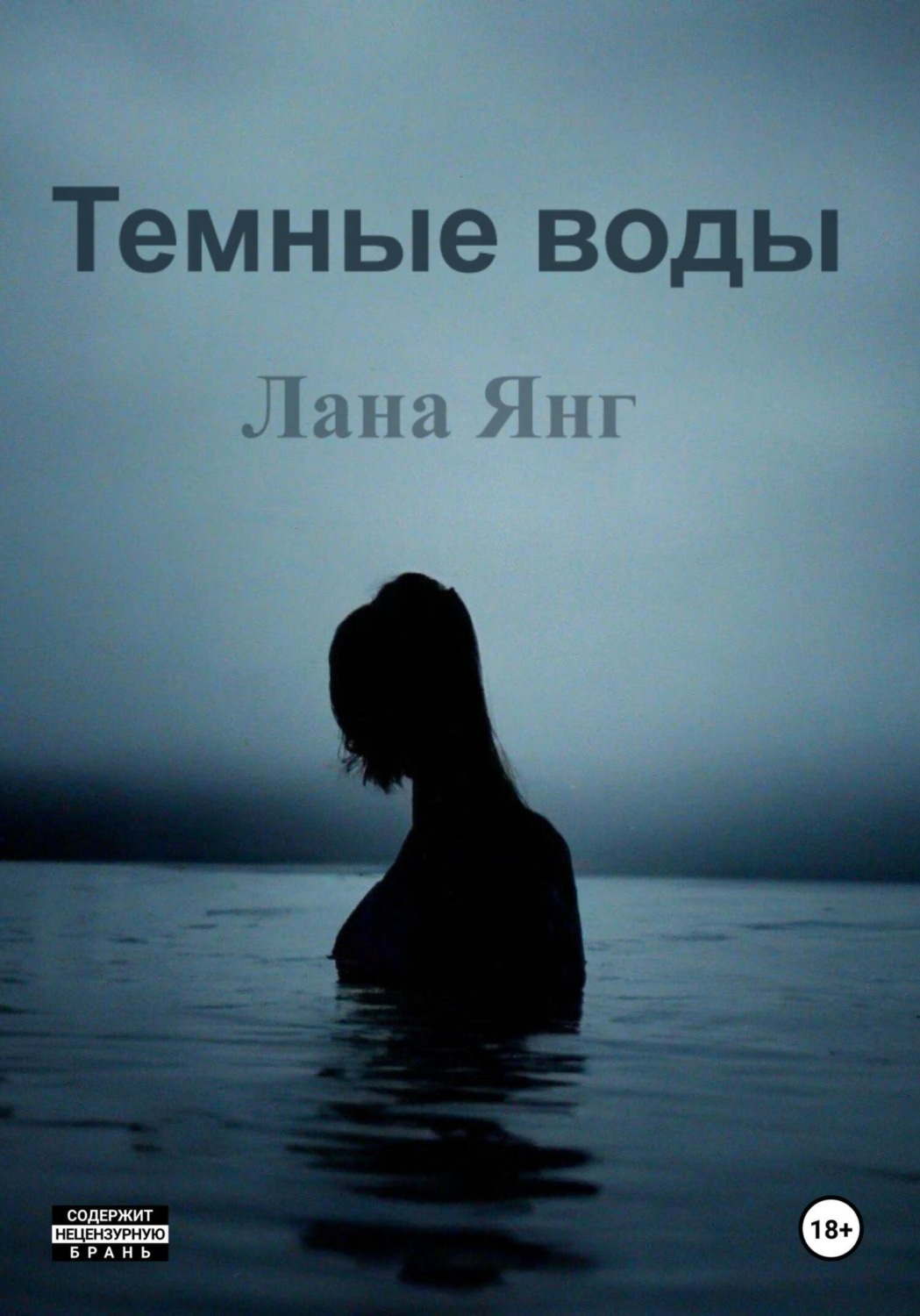 Обложка книги «Темные воды»