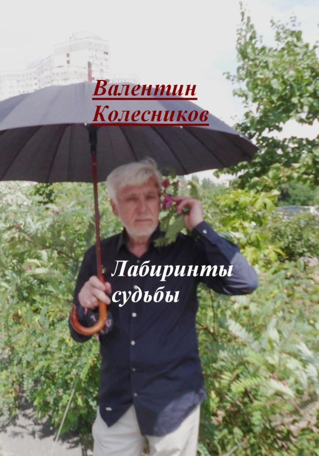 Обложка книги «Лабиринты судьбы»