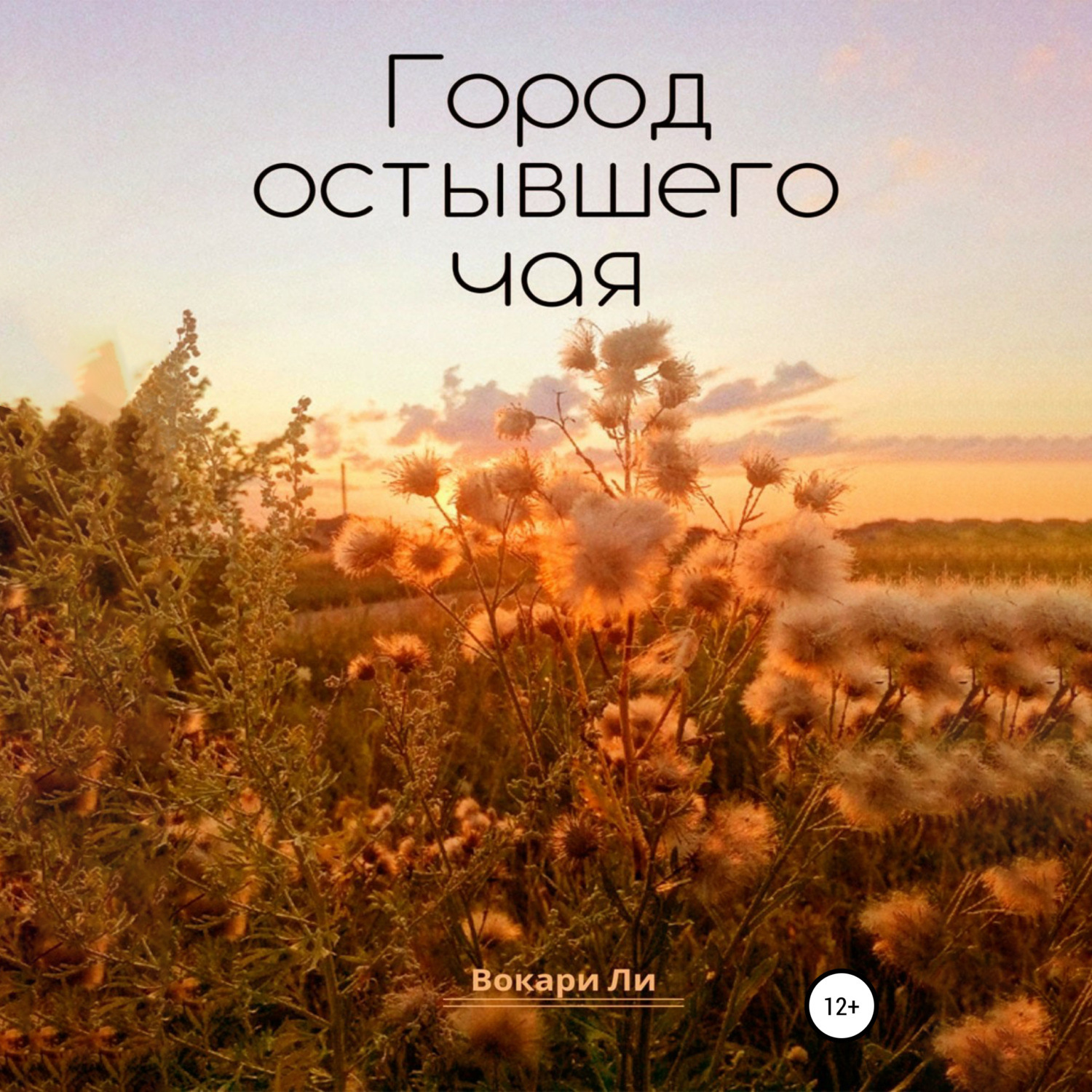 Обложка книги «Город остывшего чая»