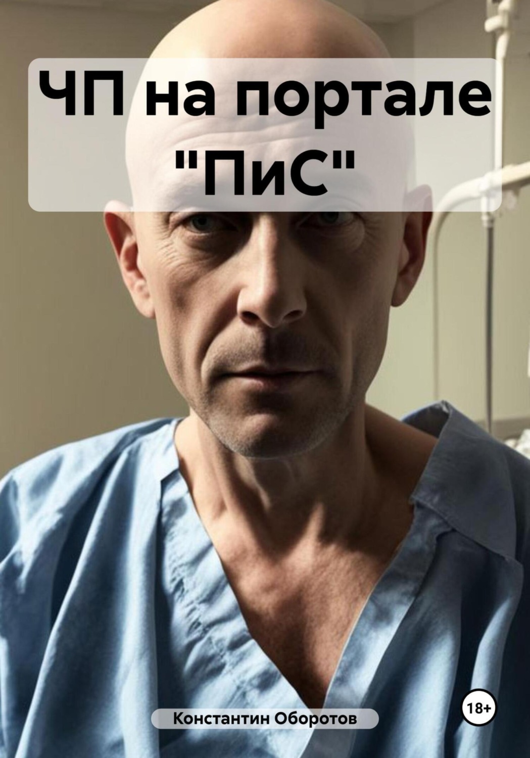 Обложка книги «ЧП на портале «ПиС»»